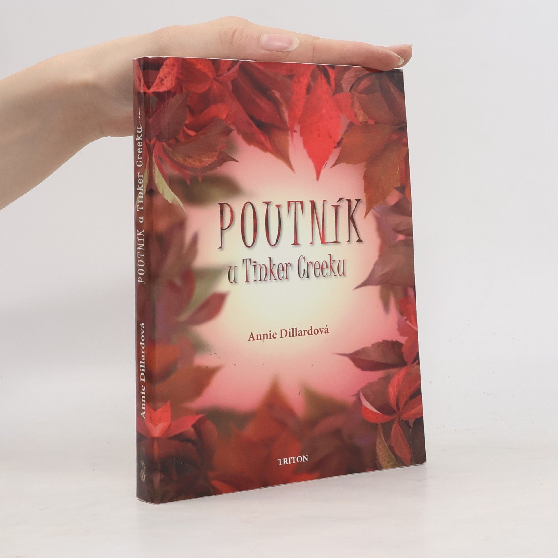 Annie Dillard Poutník u Tinker Creeku