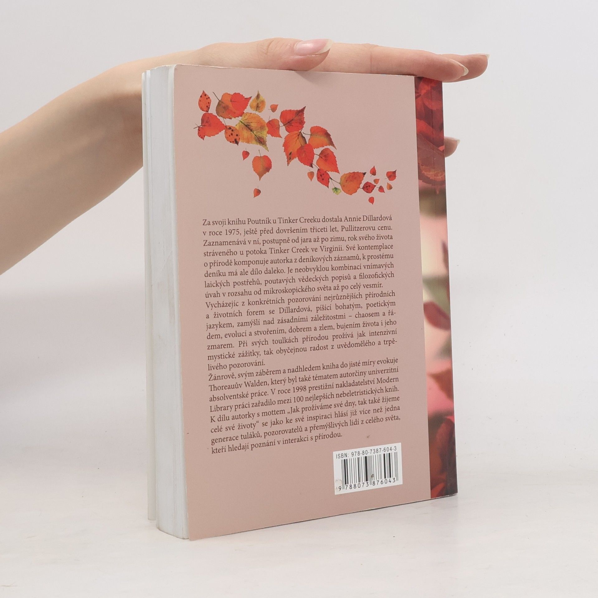 Annie Dillard Poutník u Tinker Creeku