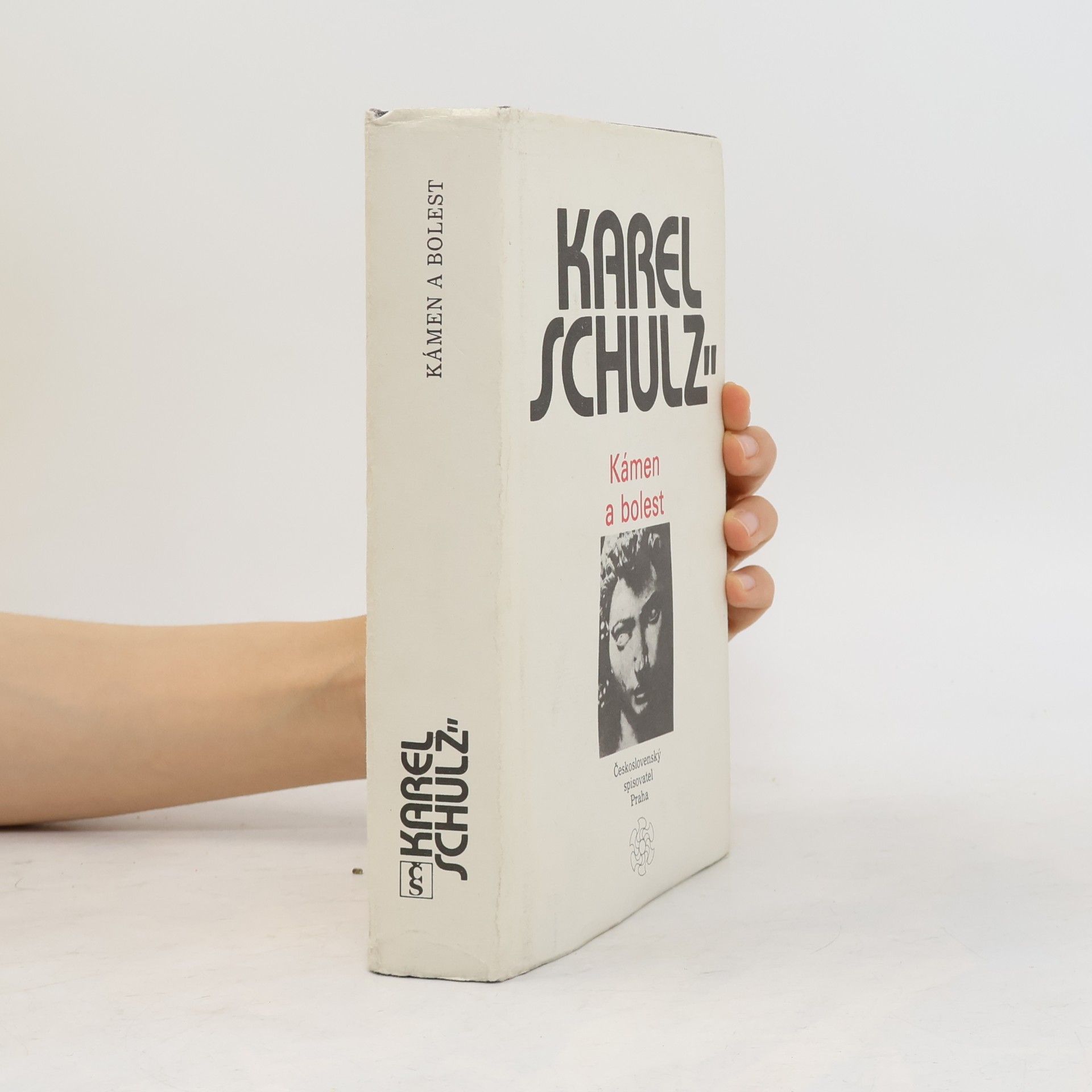 Karel Schulz Kámen a bolest