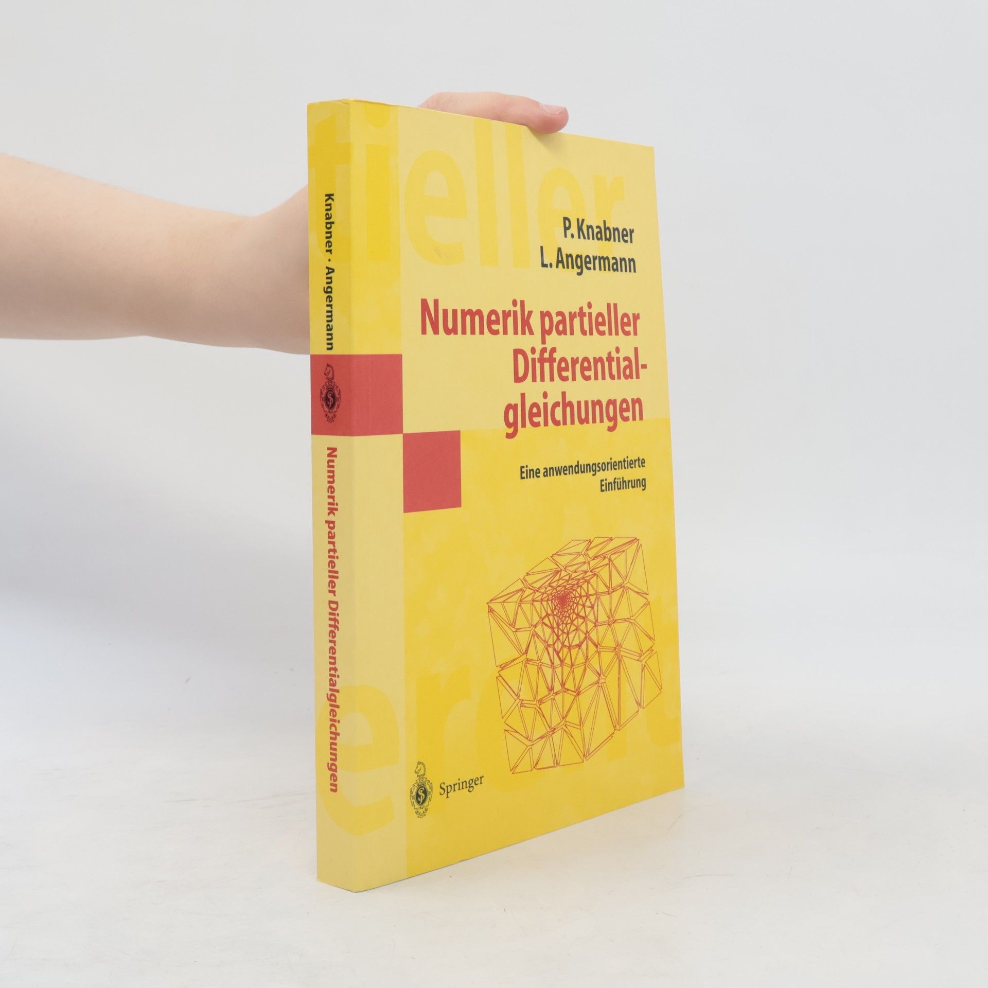 Peter Knabner Numerik partieller Differentialgleichungen