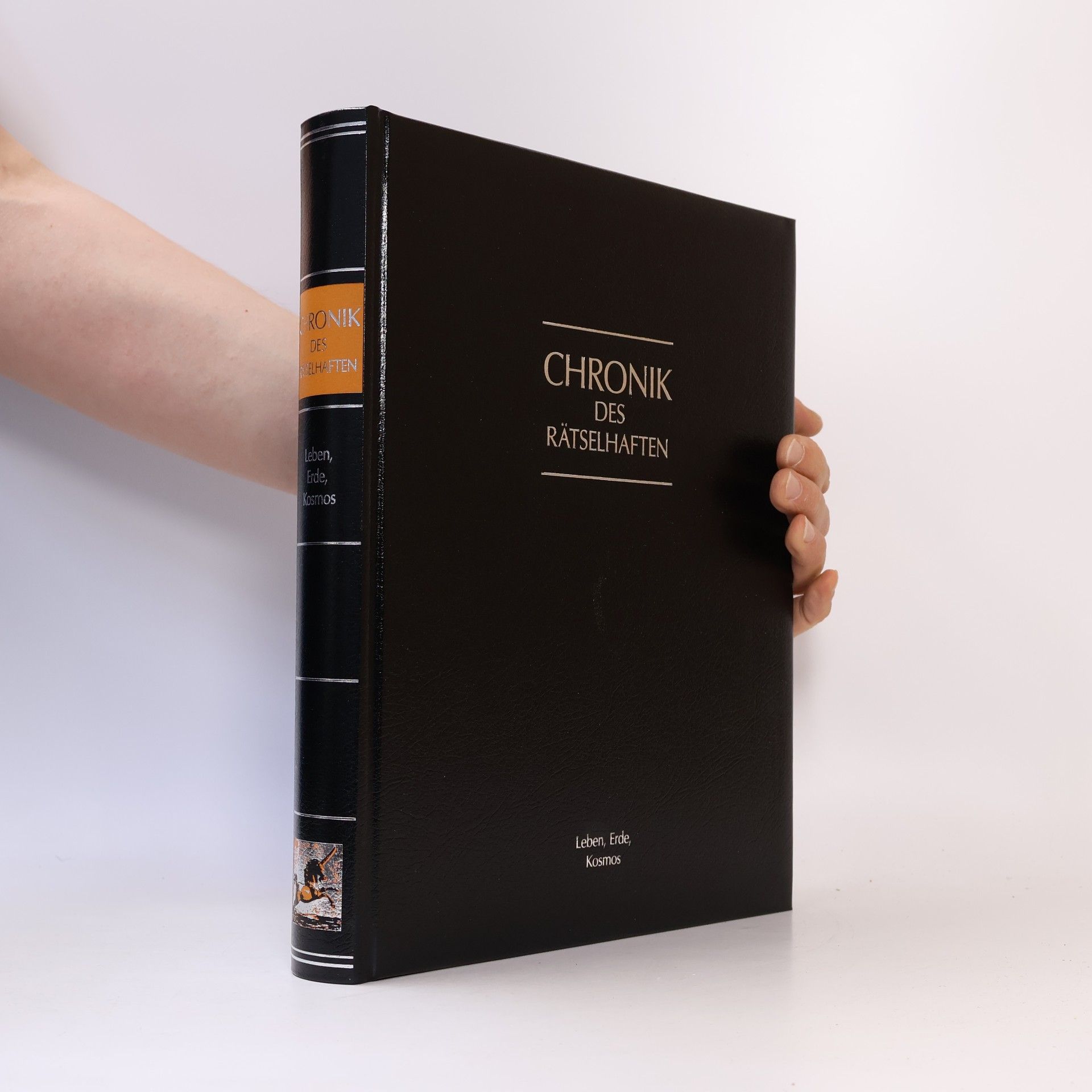 Petra Niebuhr Timpe Chronik des Rätselhaften