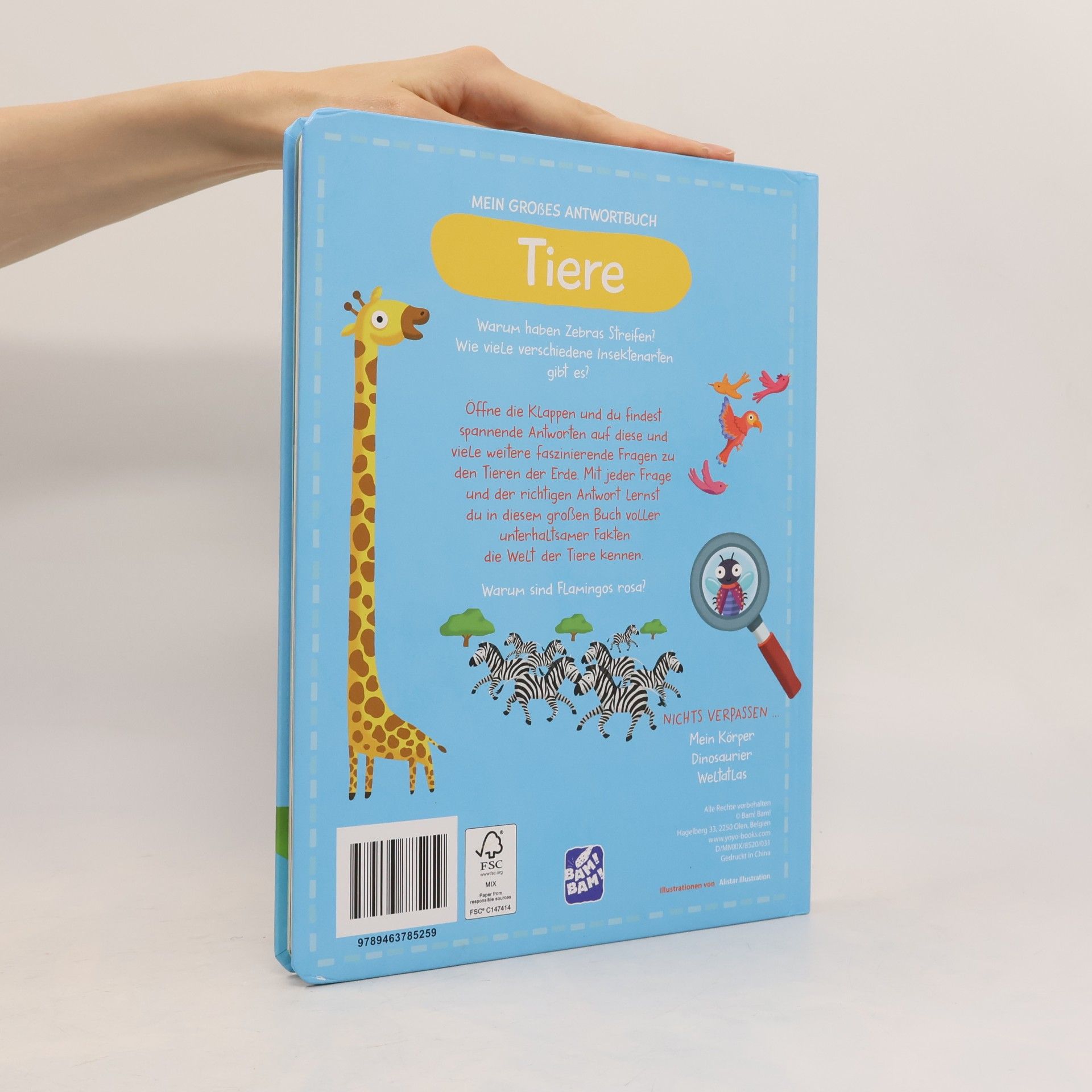 Autorenkollektiv Mein großes Antwortbuch: Tiere