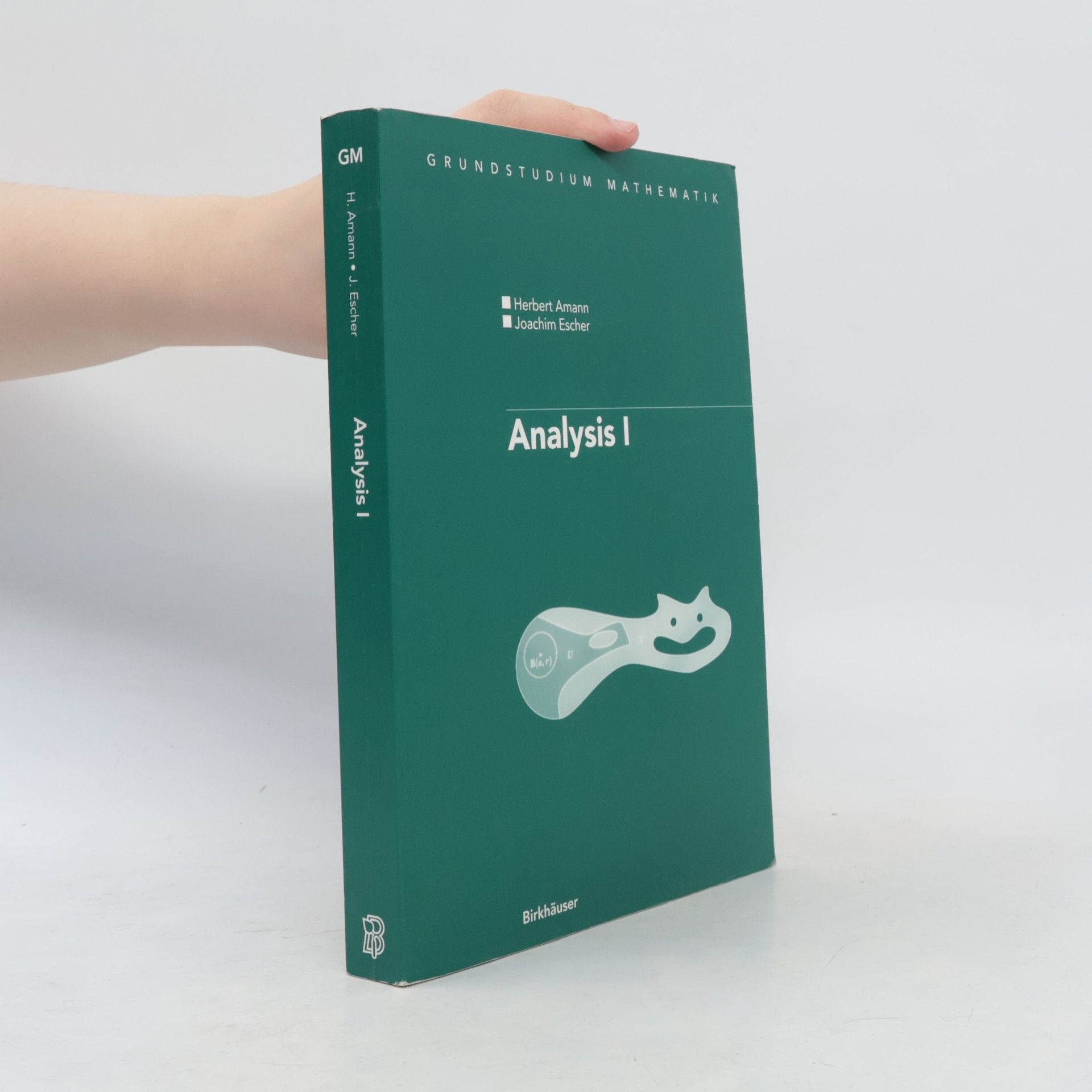 Joachim Escher Grundstudium Mathematik - 1: Analysis