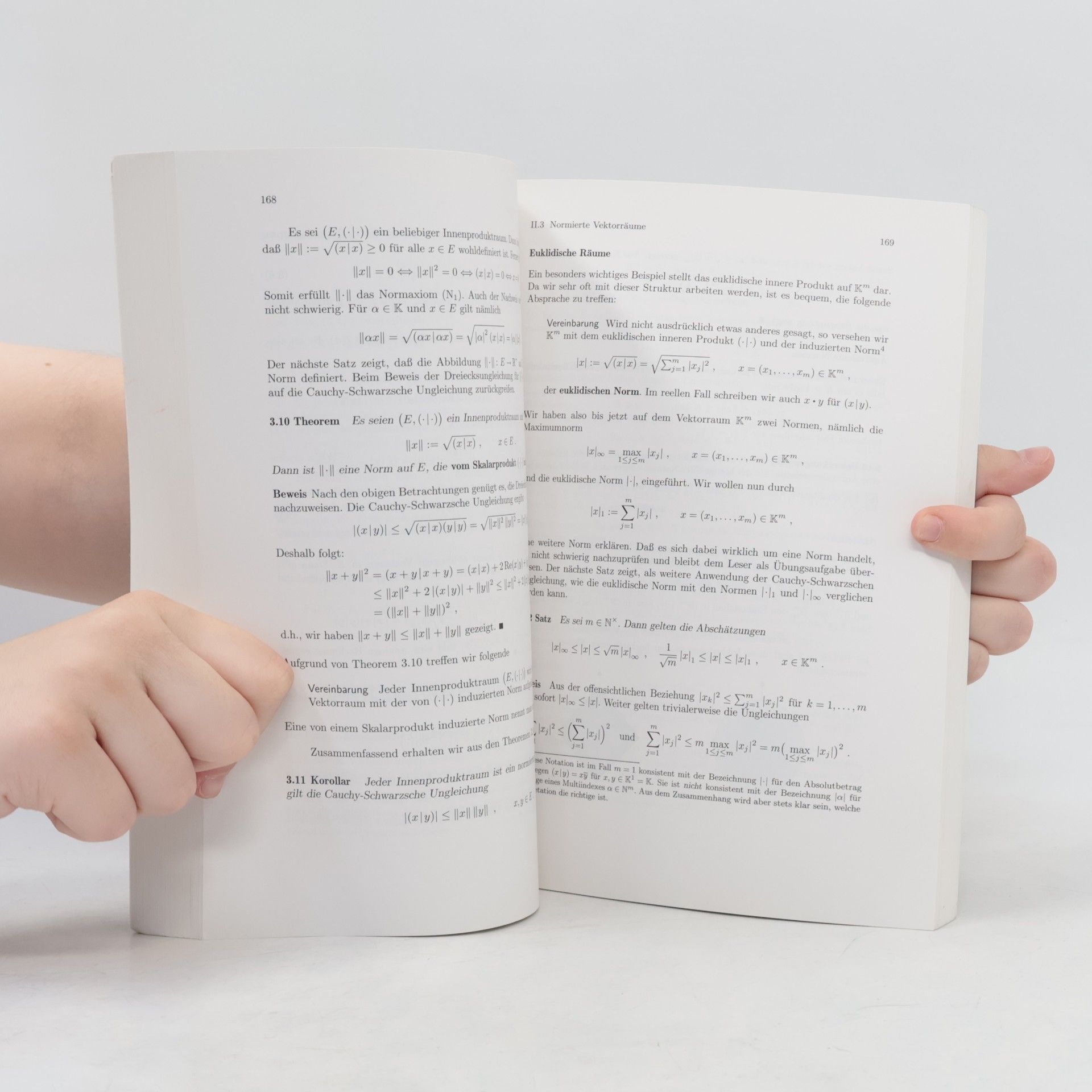 Herbert Amann Grundstudium Mathematik - 1: Analysis