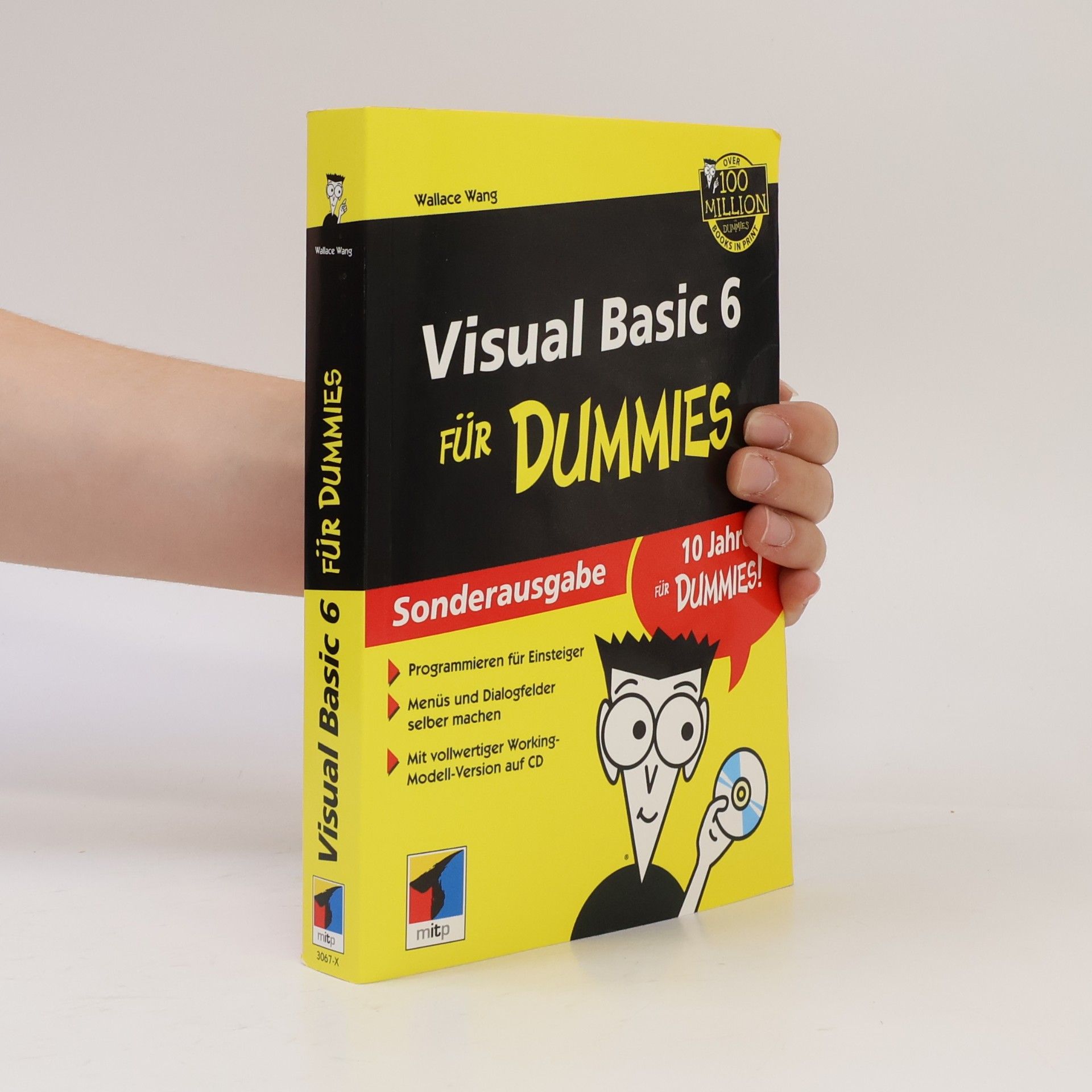 Wally Wang Visual Basic 6 für Dummies