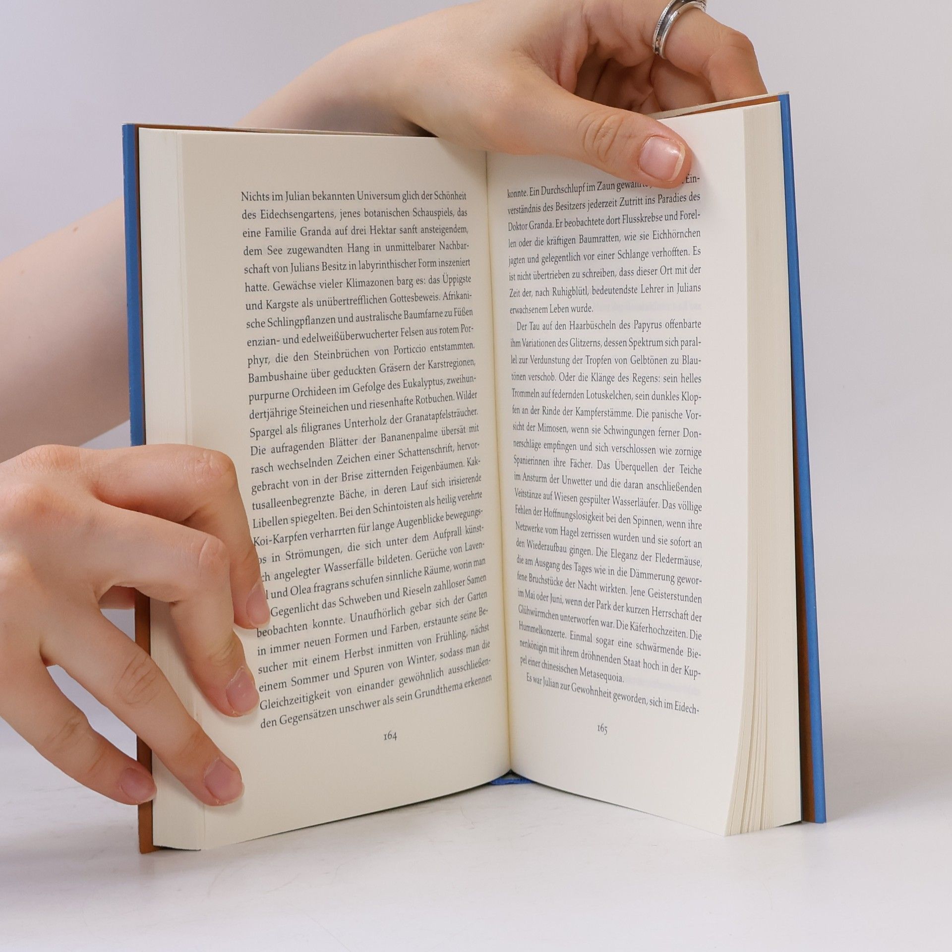 Andrè Heller Das Buch vom Süden