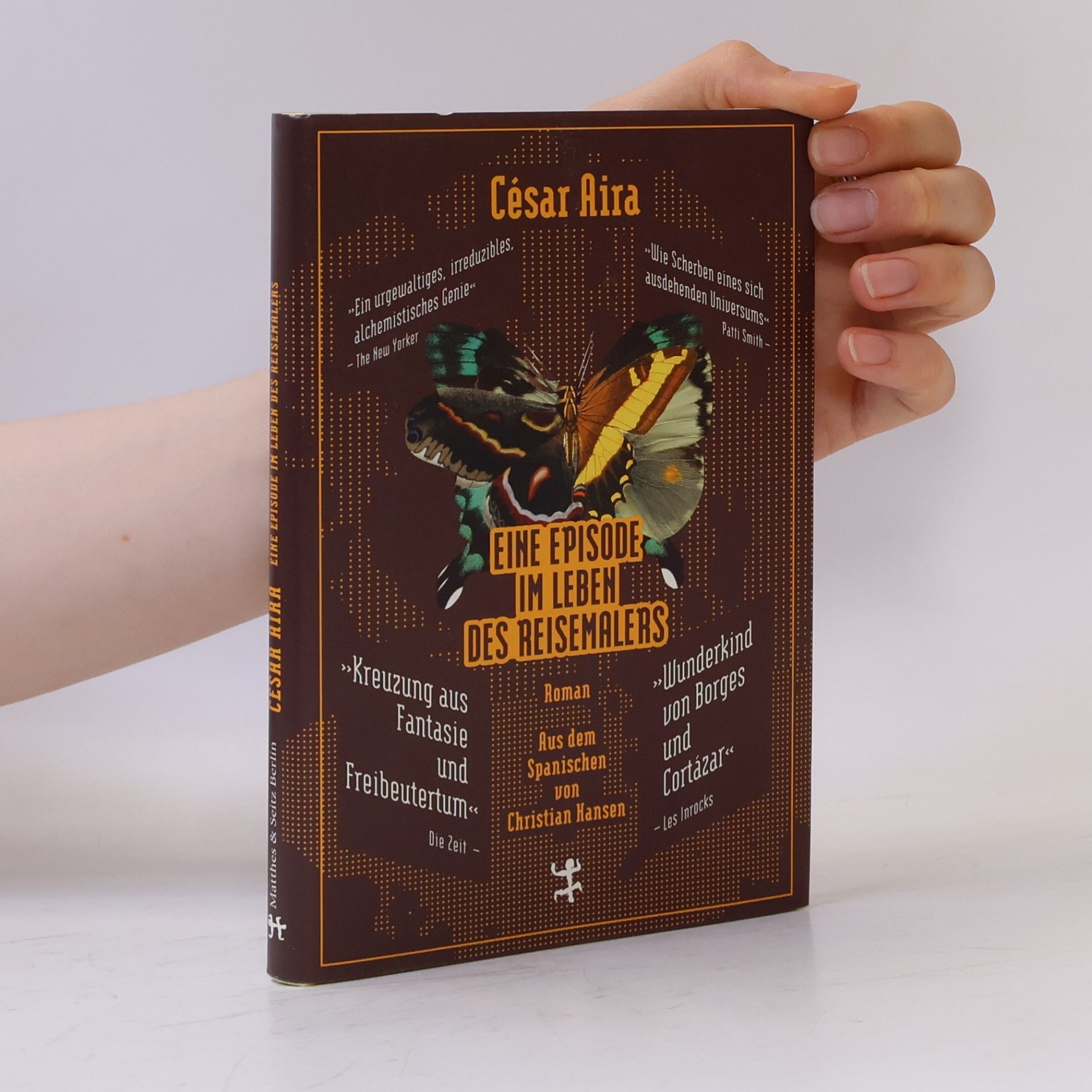 César Aira Eine Episode im Leben des Reisemalers