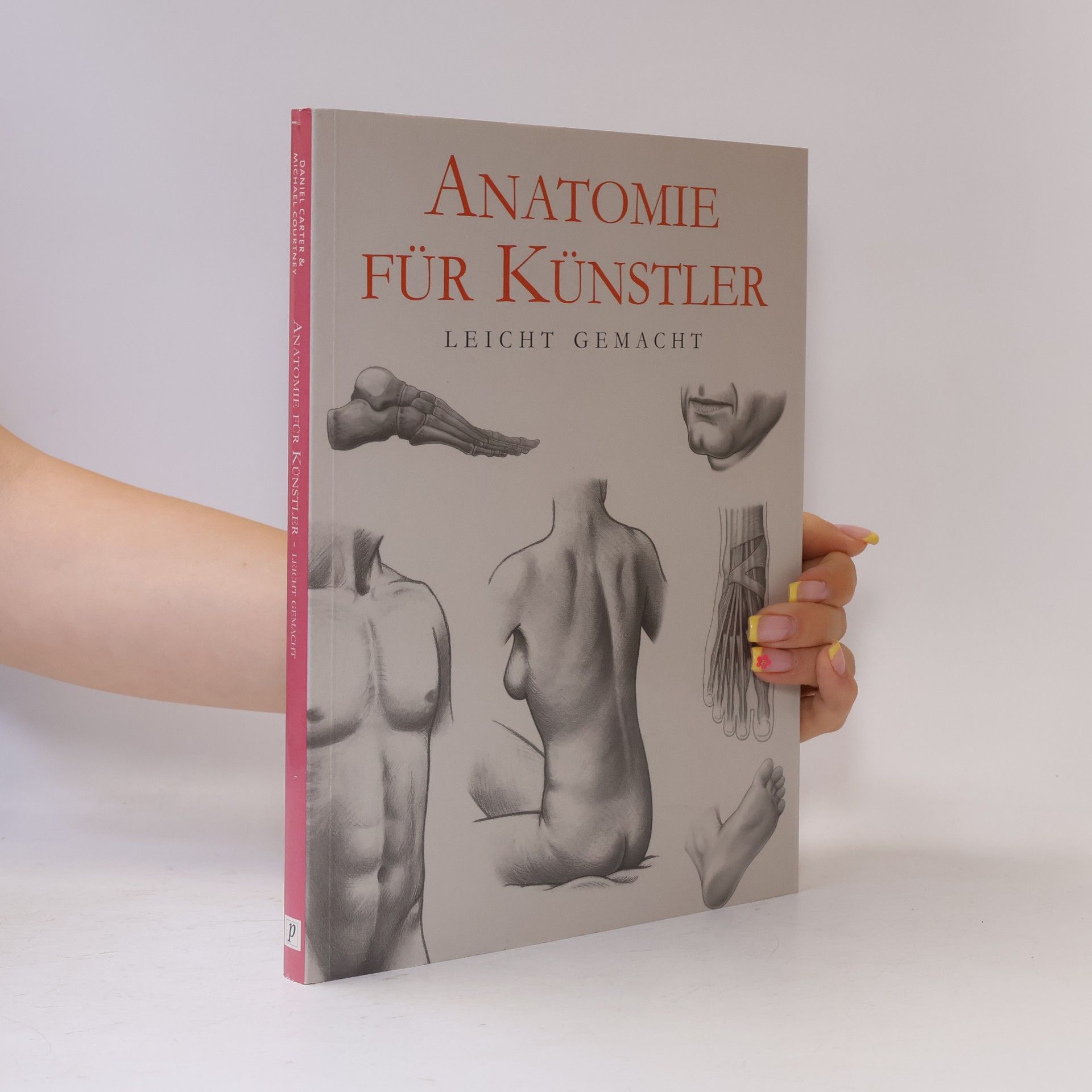 Daniel Carter Anatomie für Künstler