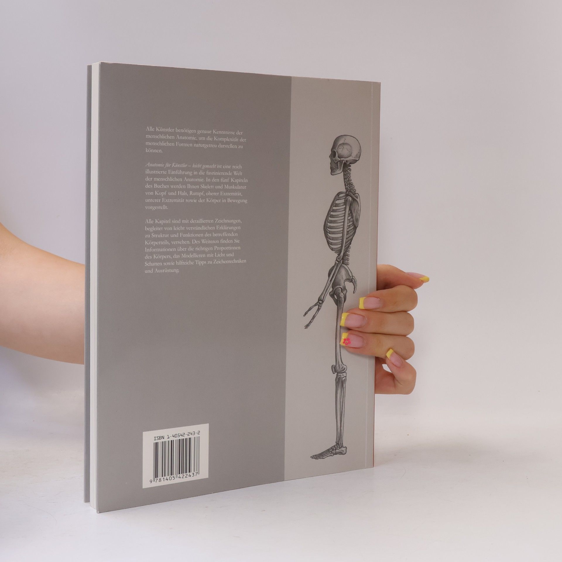 Daniel Carter Anatomie für Künstler