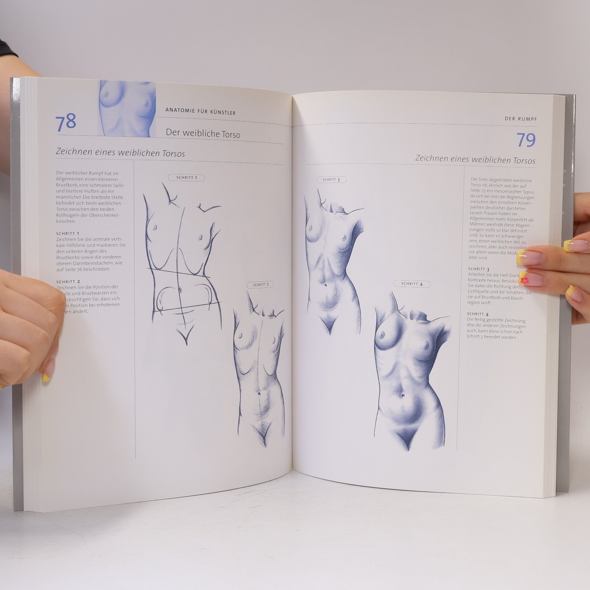 Daniel Carter Anatomie für Künstler