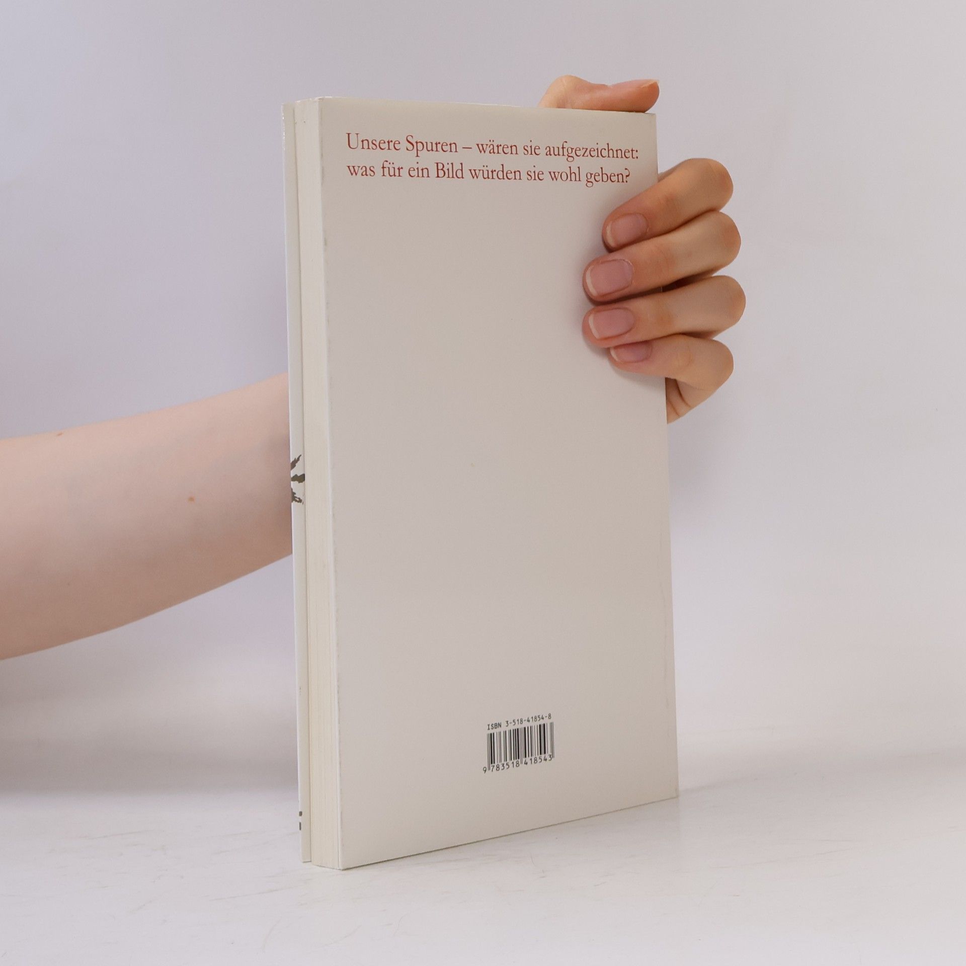 Peter Handke Spuren der Verirrten