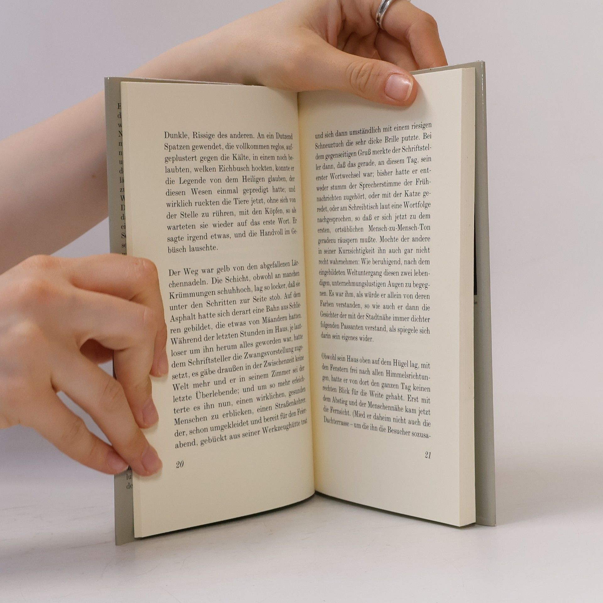 Peter Handke Nachmittag eines Schriftstellers