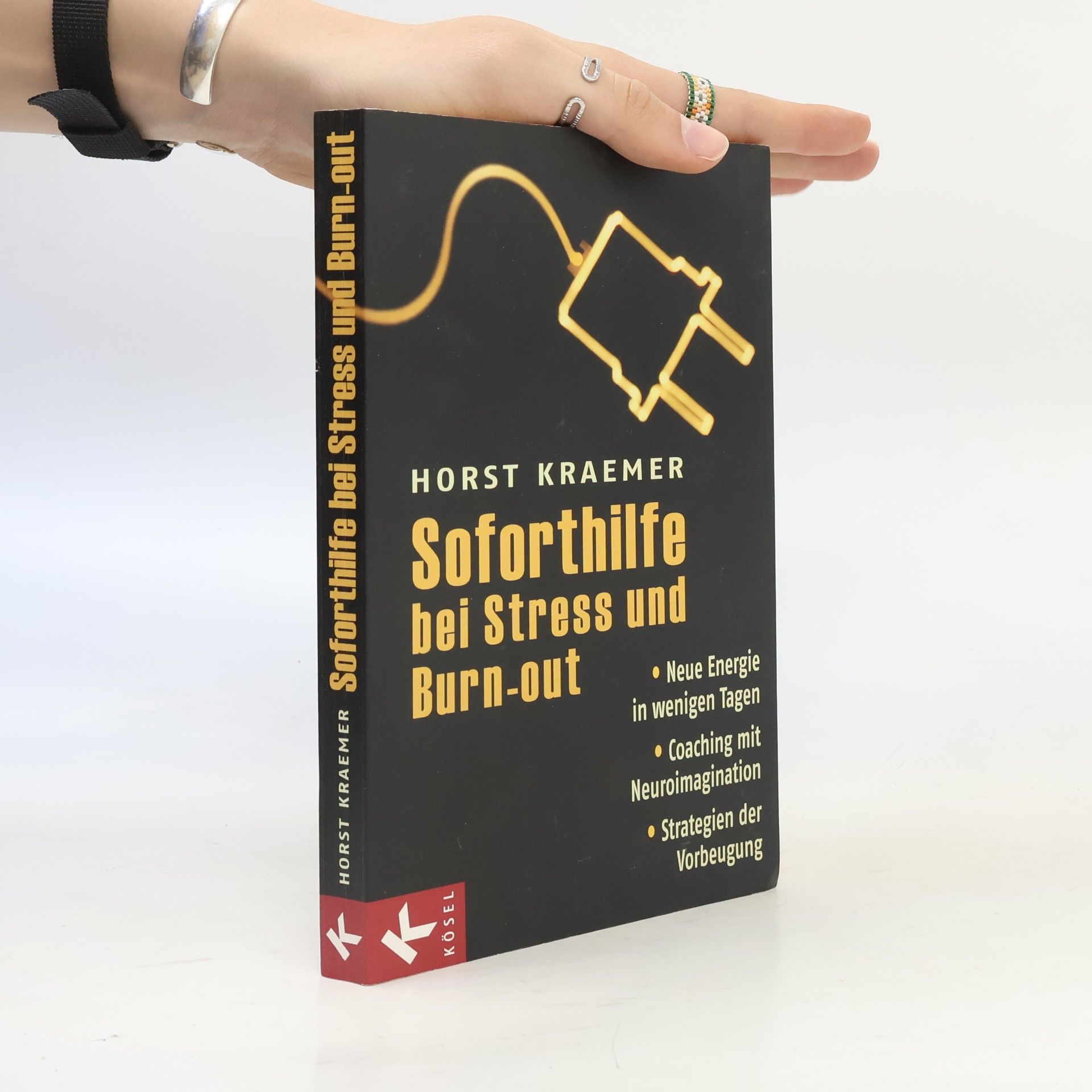 Horst Kraemer Soforthilfe bei Stress und Burn-out