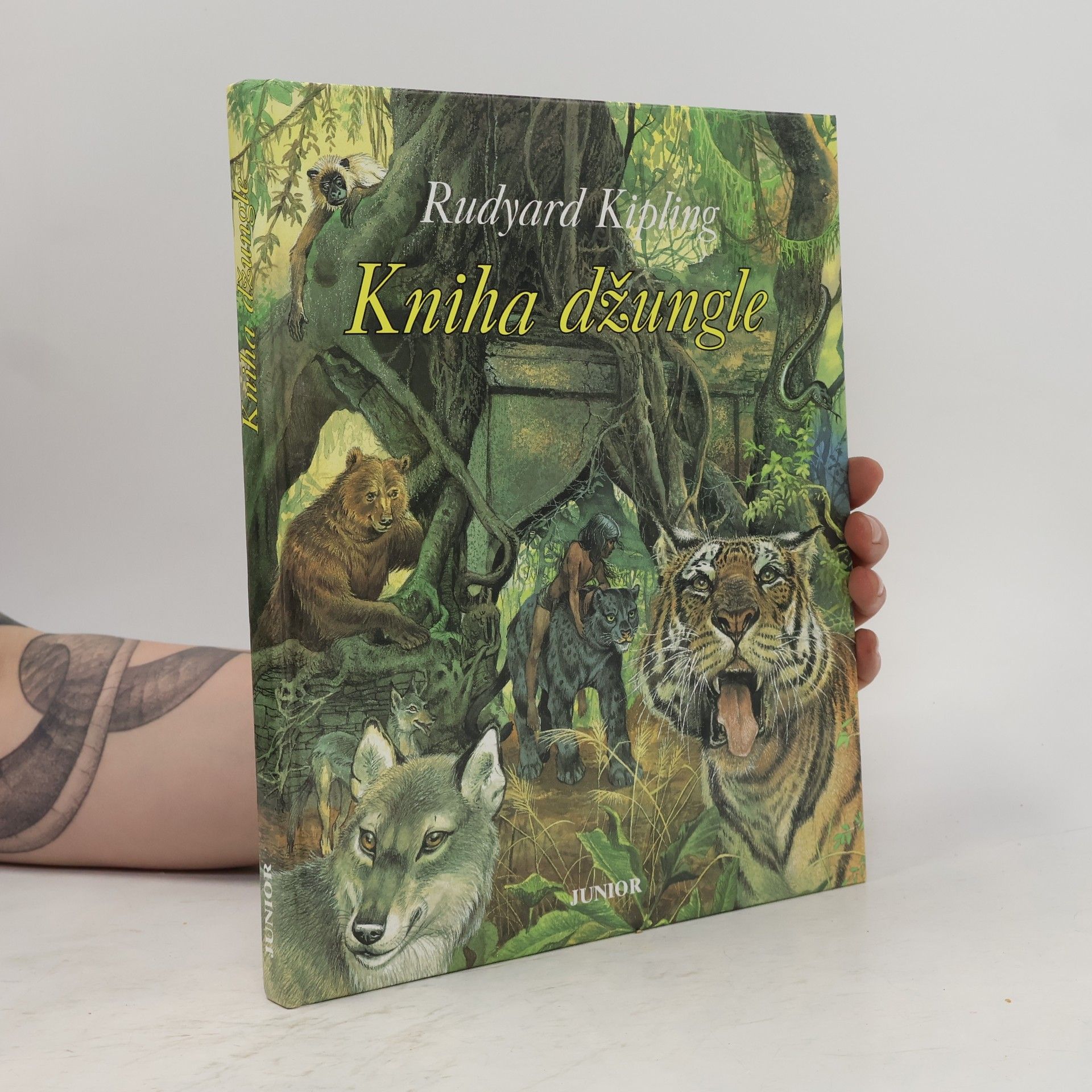 Rudyard Kipling Kniha džungle