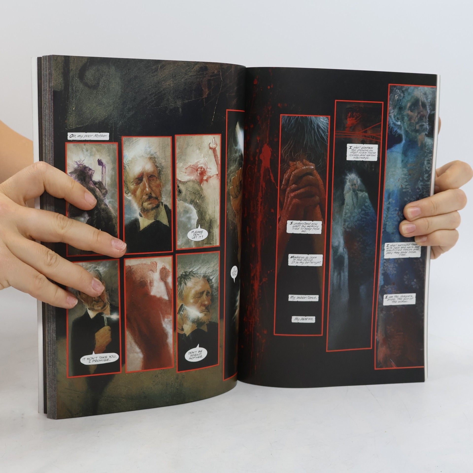 Grant Morrison Batman: Arkham Asylum New Edition
