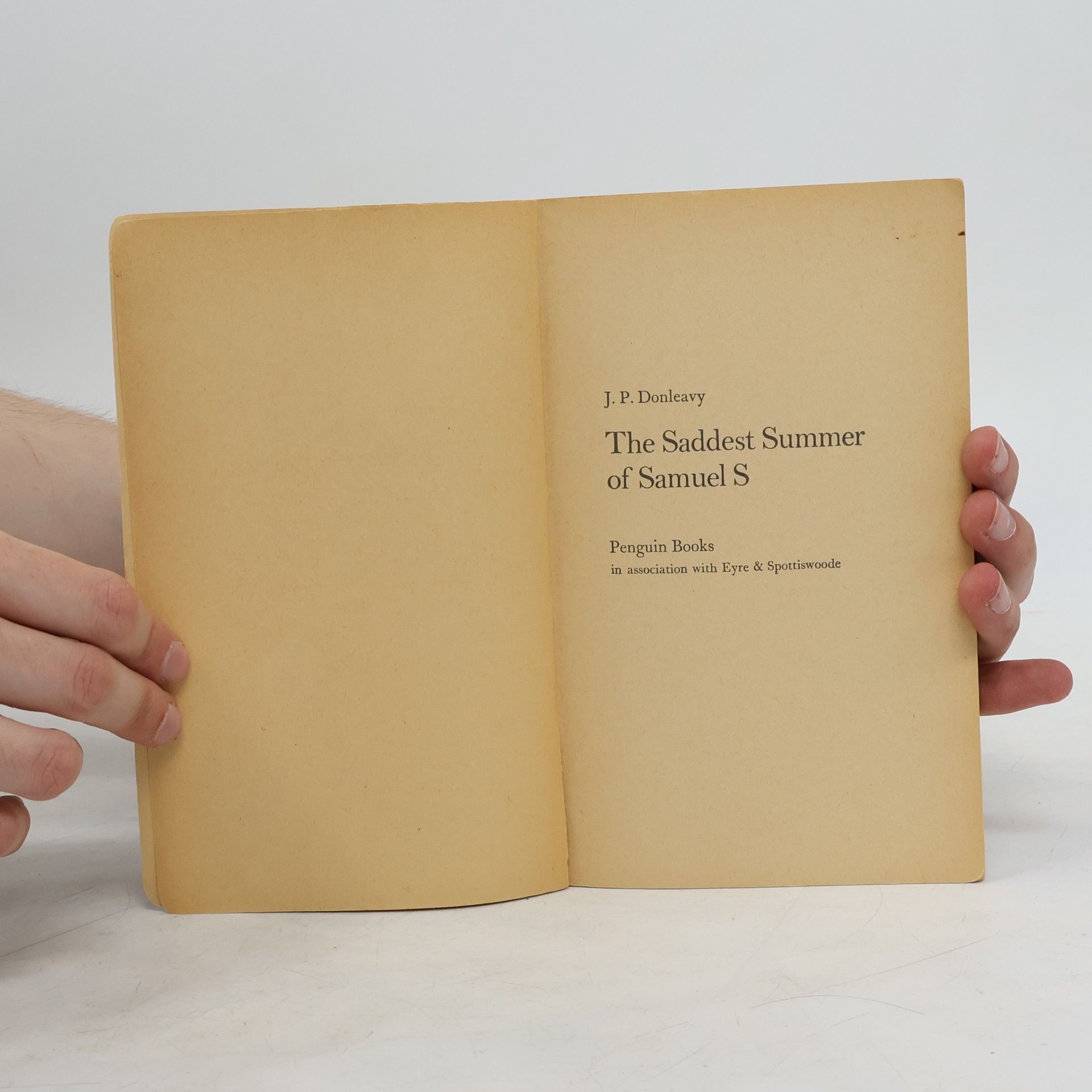 J. P. Donleavy The Saddest Summer of Samuel S