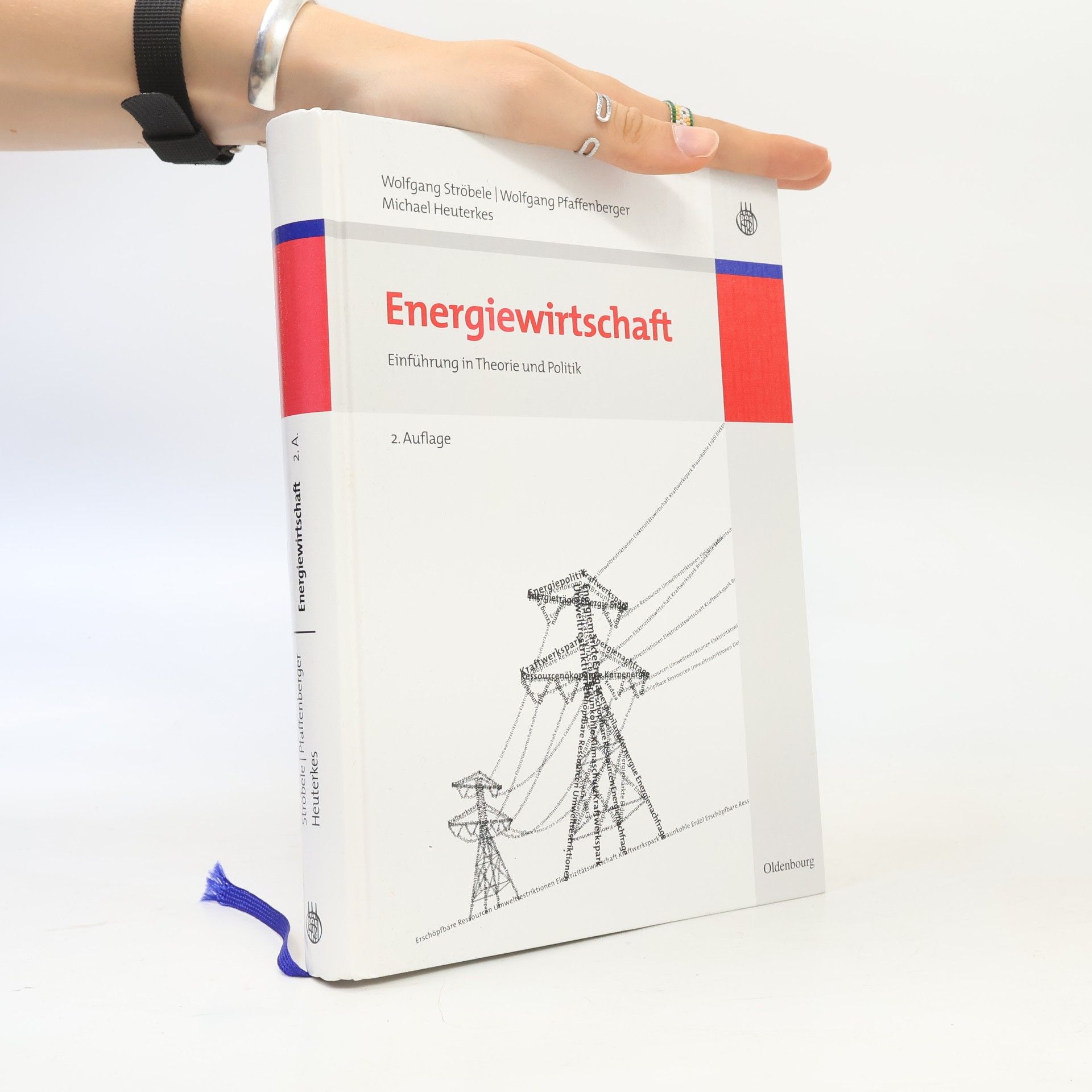 Wolfgang Ströbele Energiewirtschaft