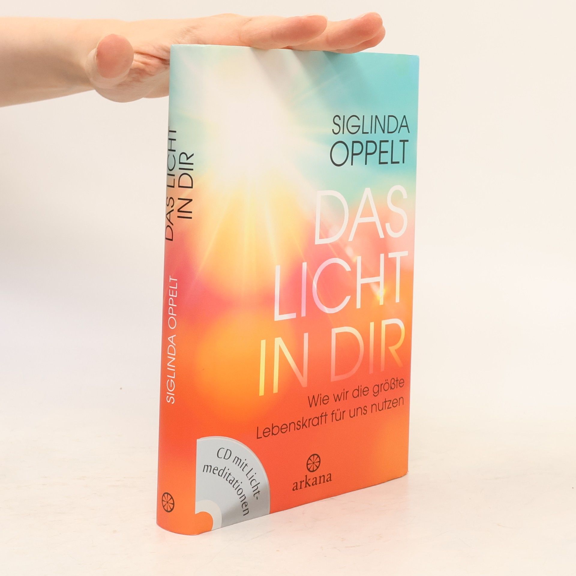 Autorenkollektiv Das Licht in dir