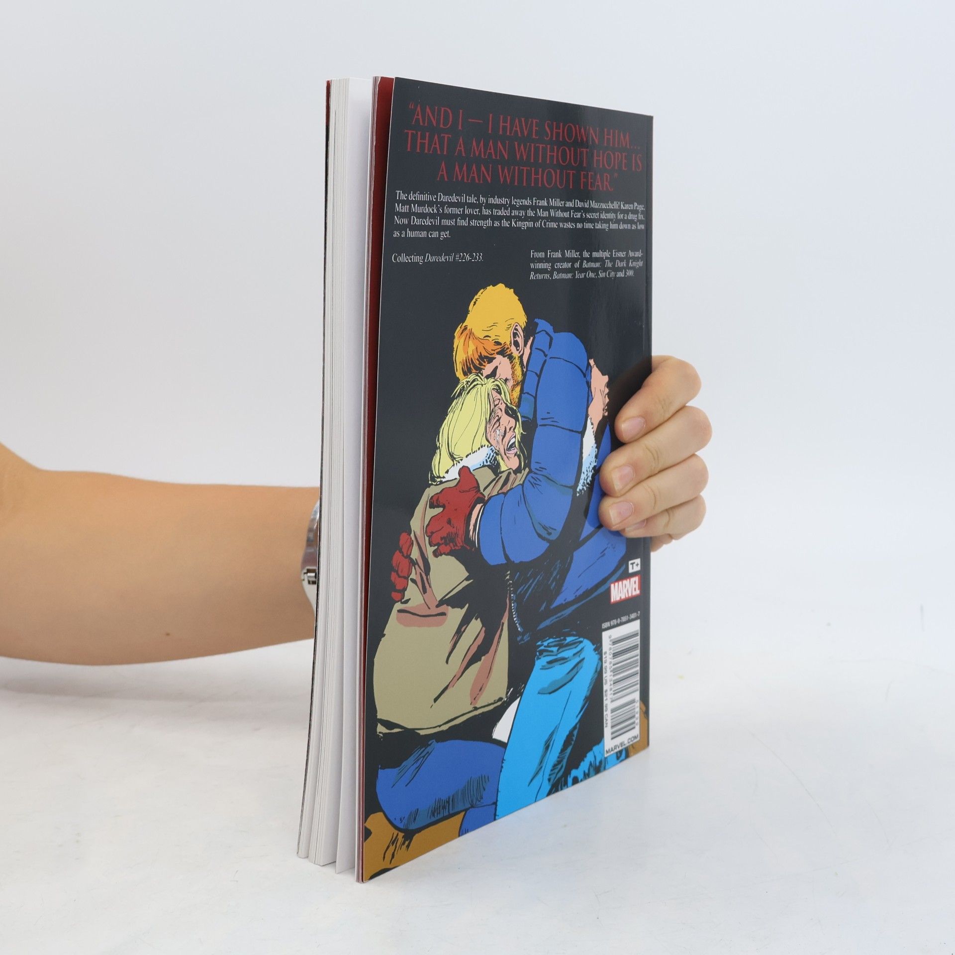 Marvel Comics Daredevil: Born Again