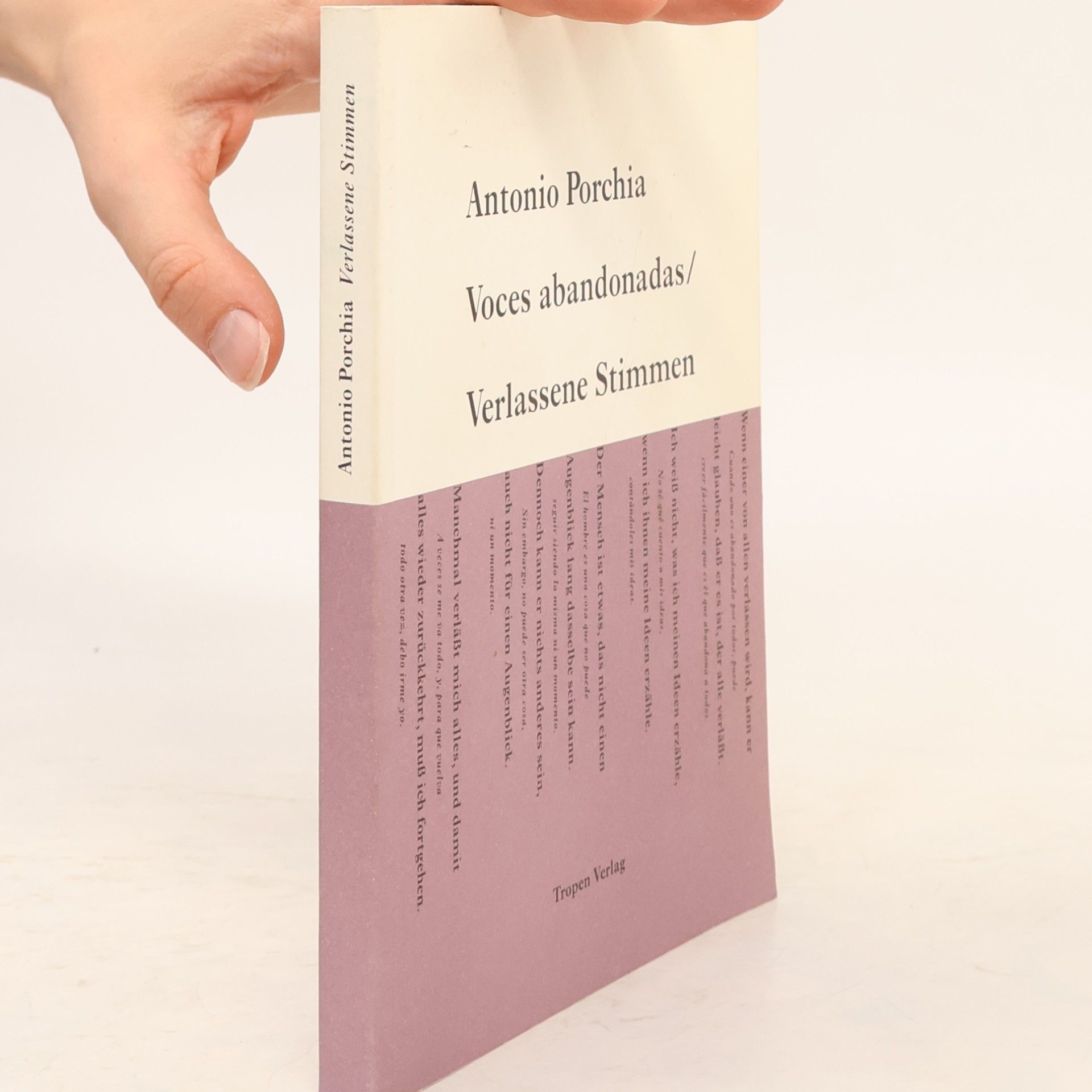 Antonio Porchia Verlassene Stimmen