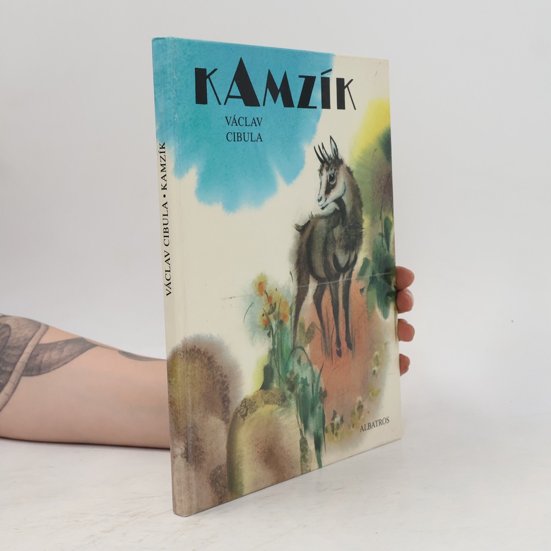 Kamzík