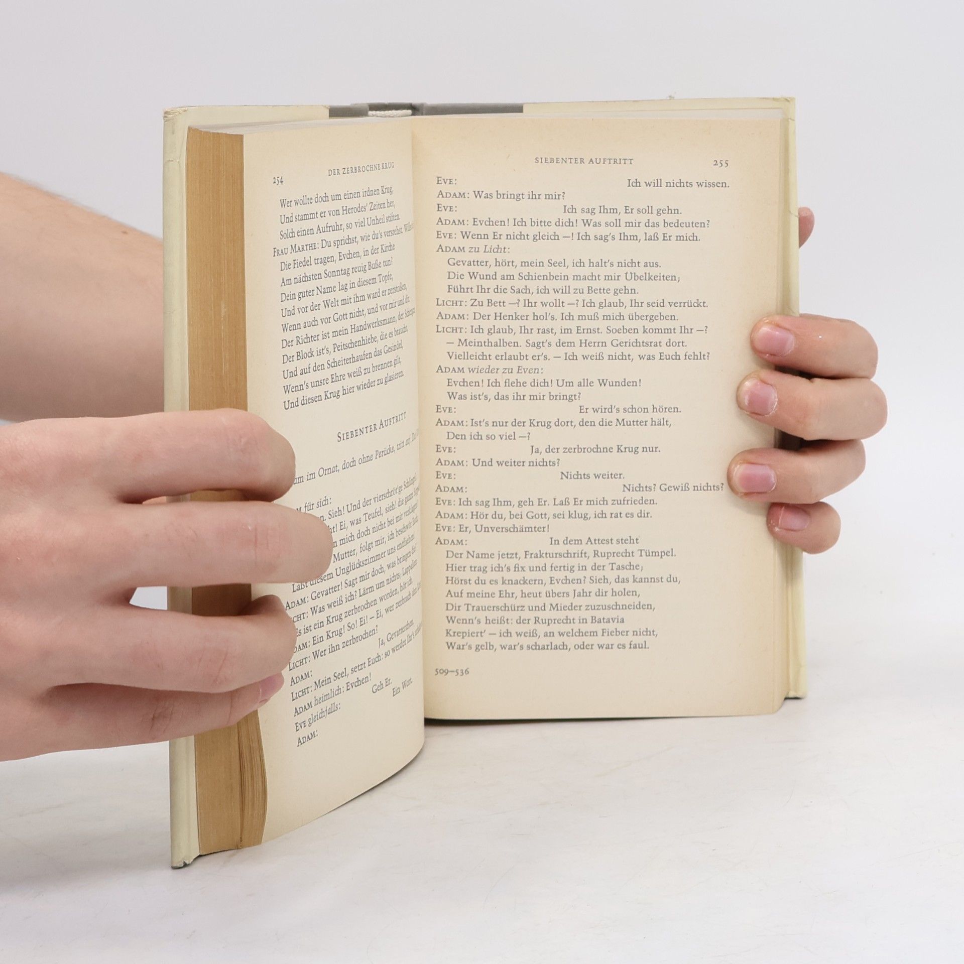 Heinrich von Kleist Werke und Briefe 1