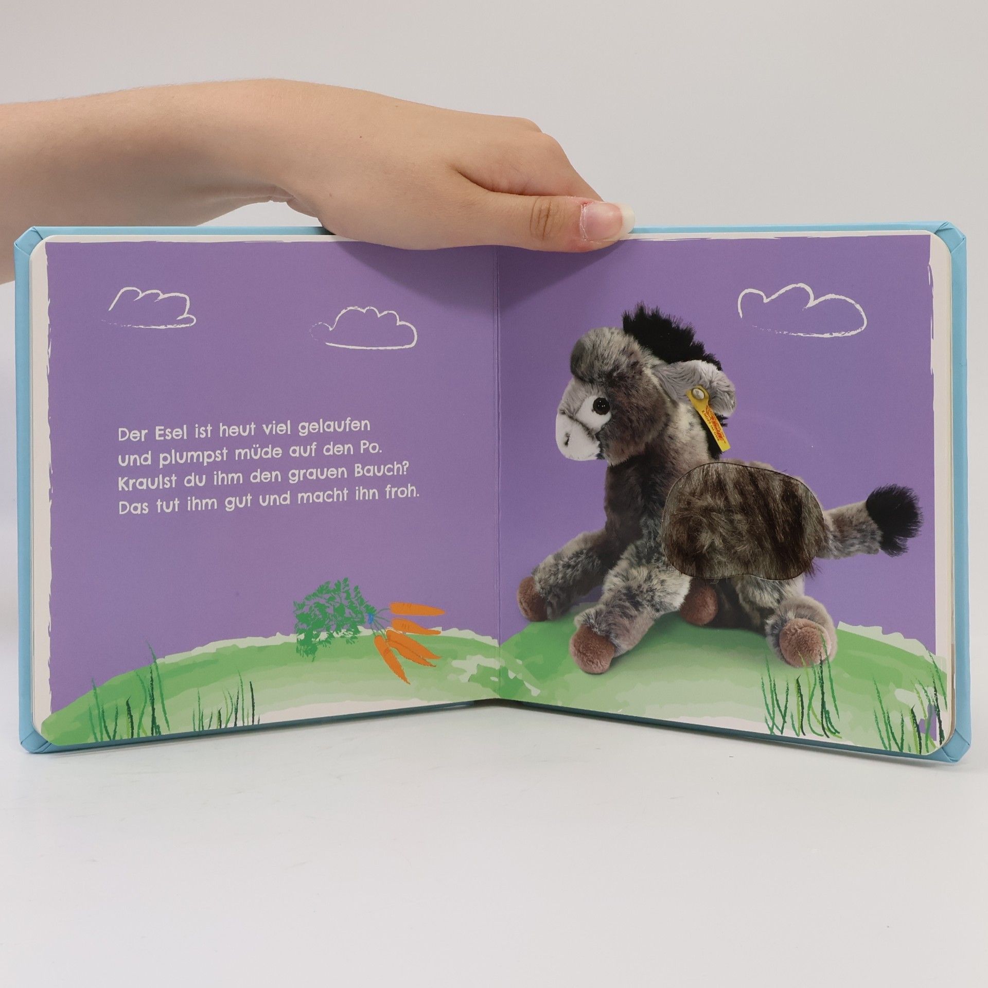 Sandra Grimm Mein liebstes Kuscheltierbuch. Bauernhoftiere