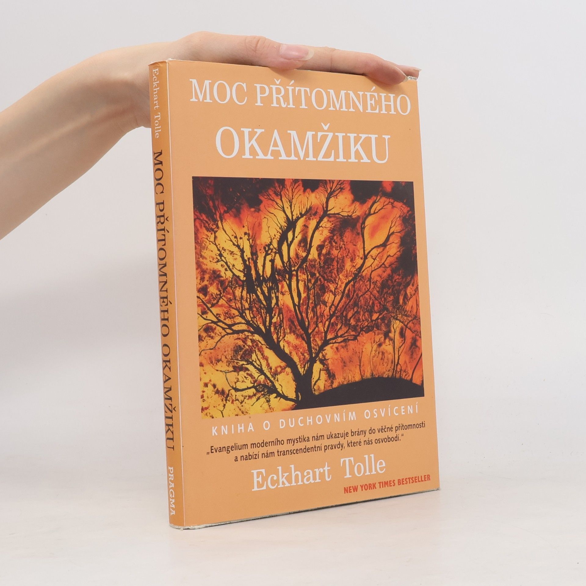 Eckhart Tolle Moc přítomného okamžiku