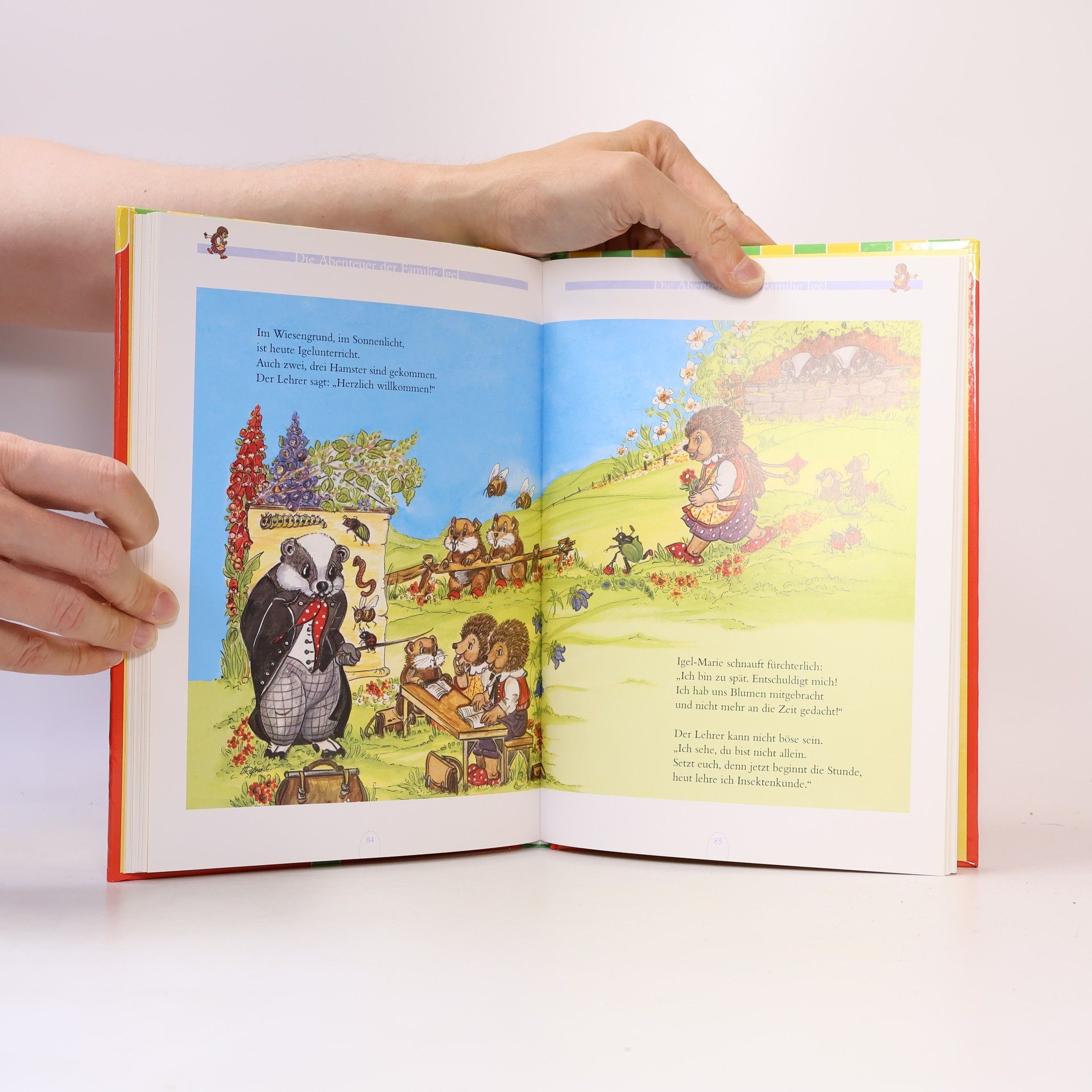 Various authors Das grosse Buch der Kindergeschichten