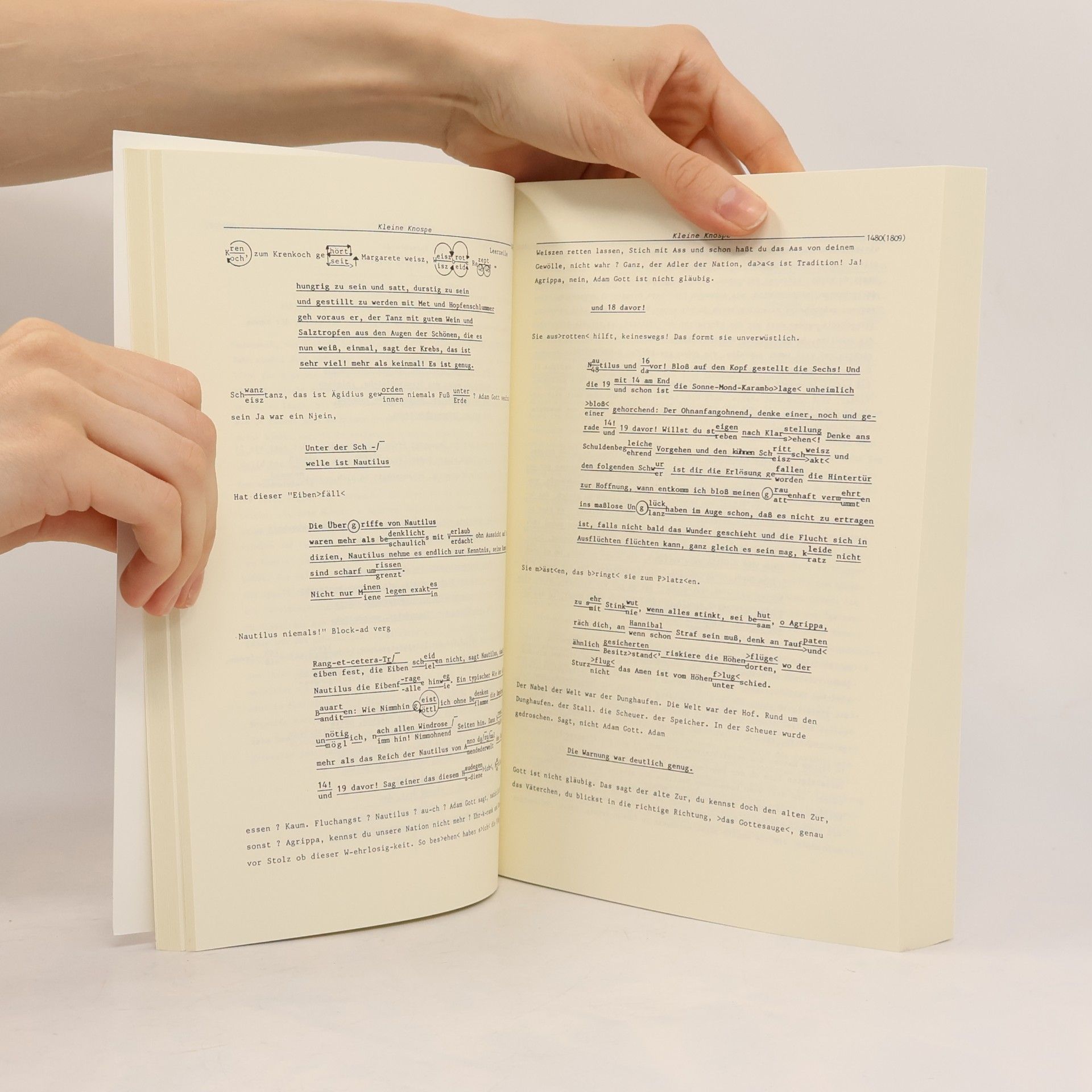 Marianne Fritz Naturgemäß I. Entweder Angstschweiß. Ohnend. Oder Pluralheft. Roman