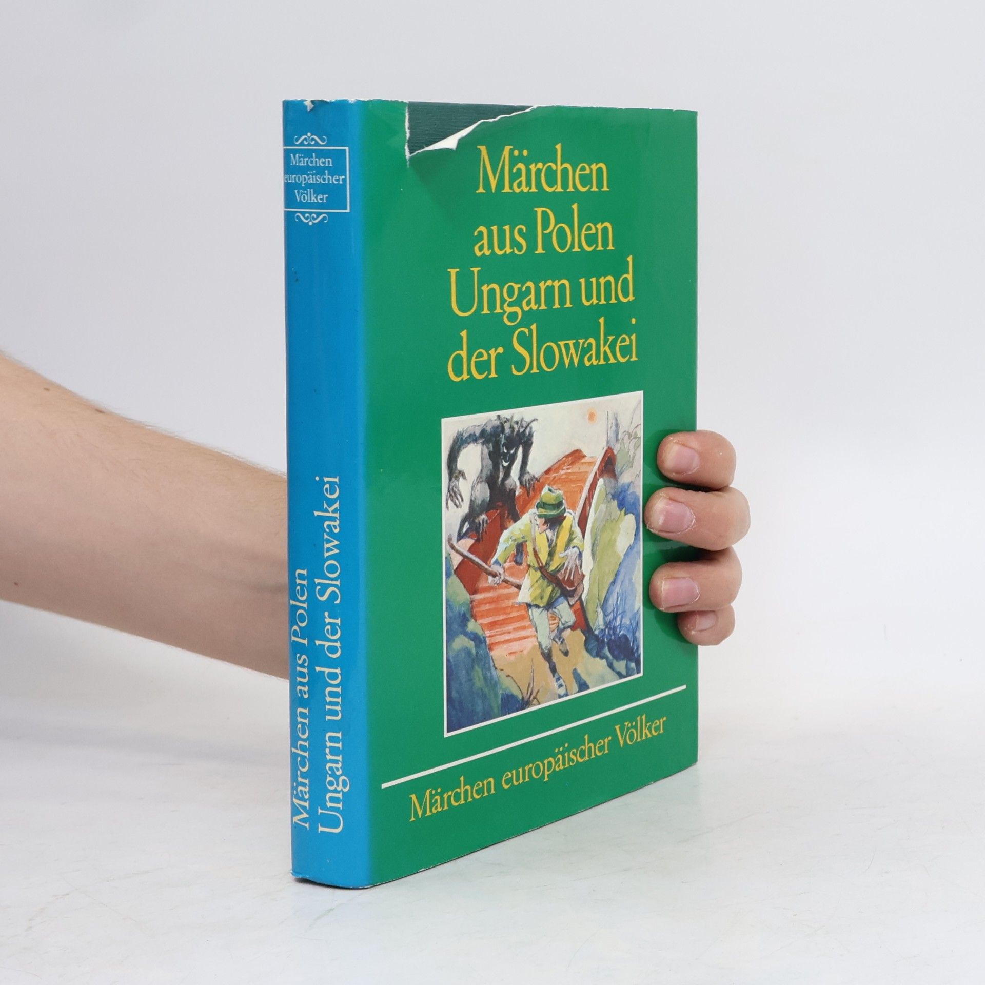 Kolektiv autorů Märchen aus Polen Ungarn und der Slowakei