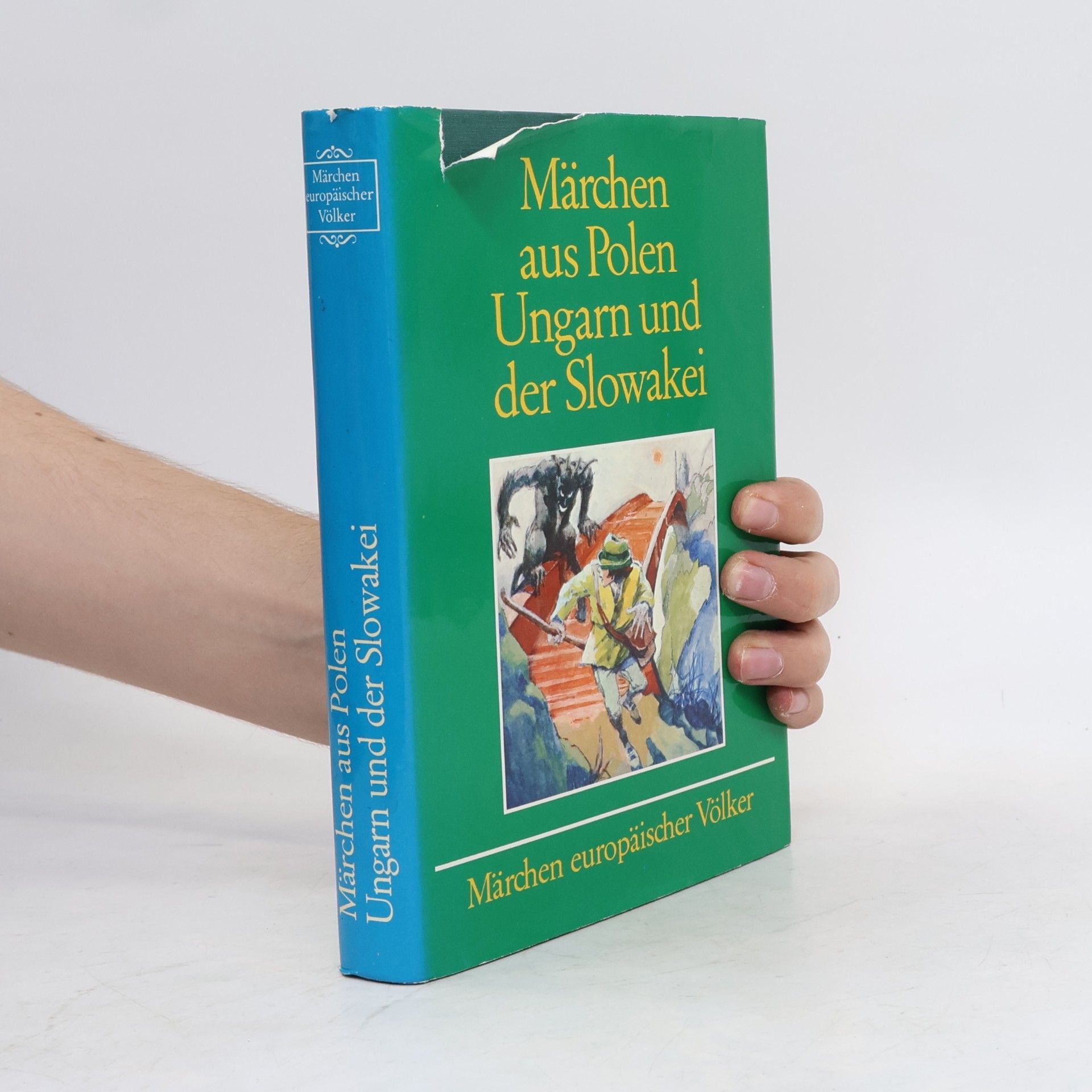 Kolektiv autorů Märchen aus Polen Ungarn und der Slowakei