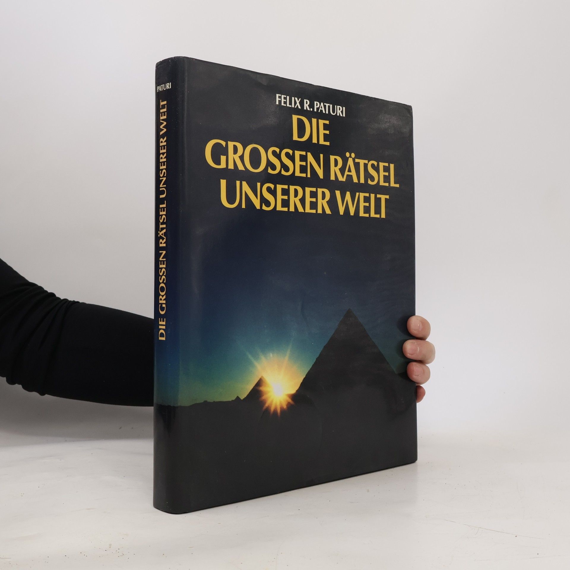 Felix R. Paturi Die grossen Rätsel unserer Welt