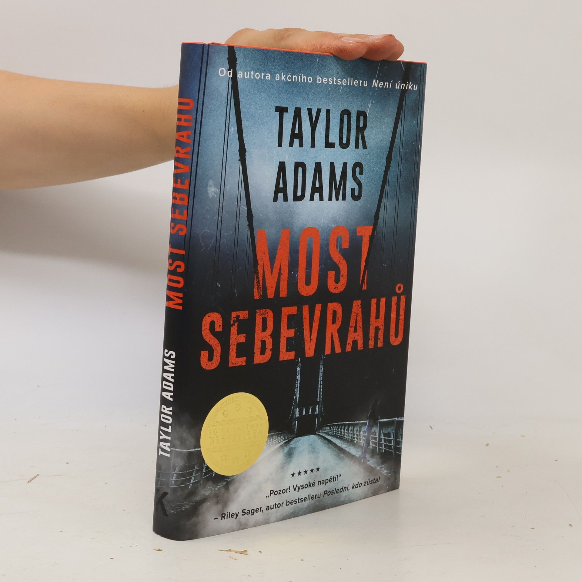 Taylor Adams Most sebevrahů