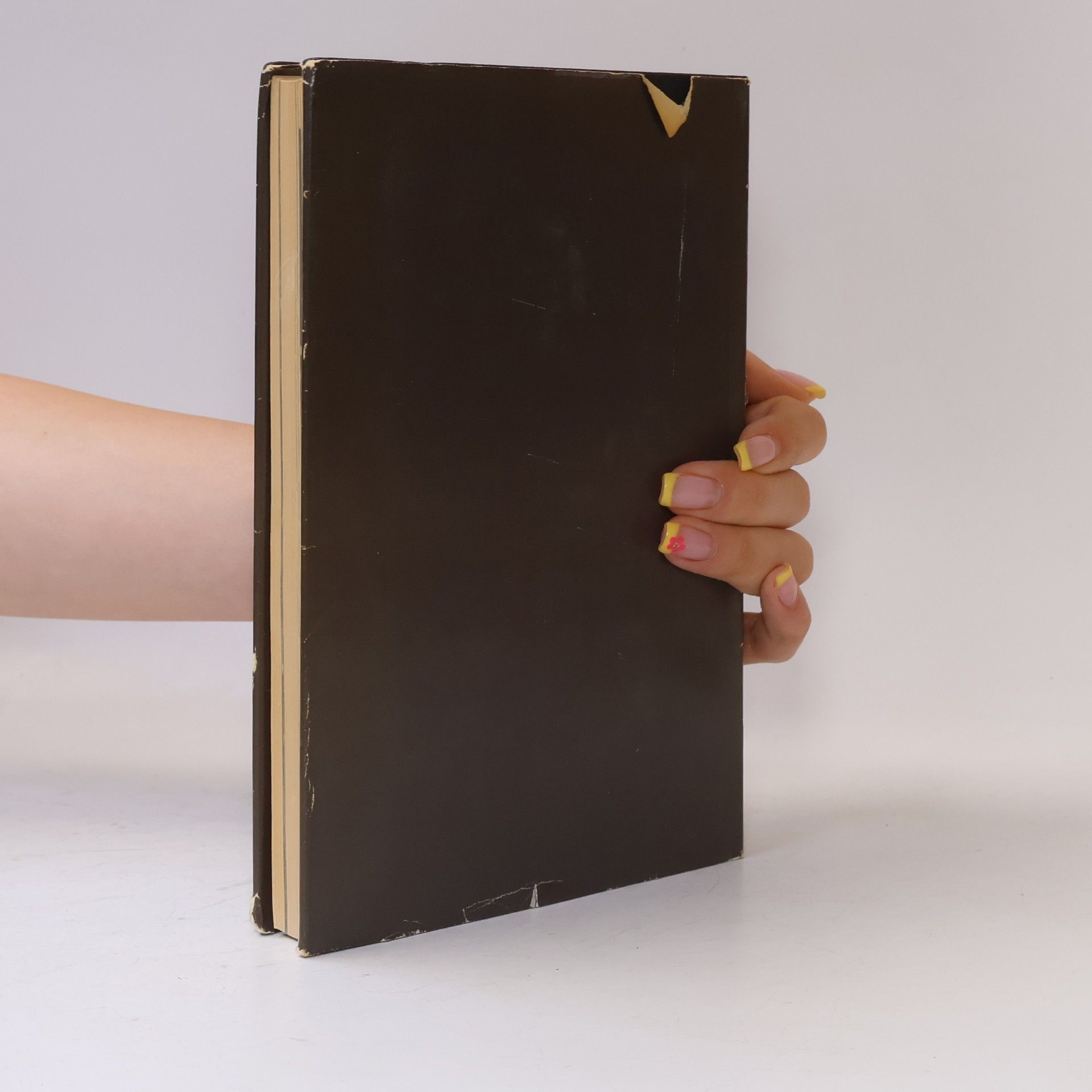 Kolektiv autorů Schauspielen Handbuch der Schauspieler-Ausbildung