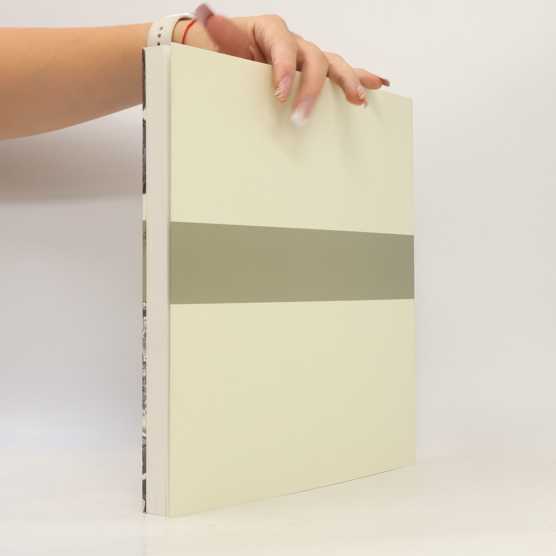Autorenkollektiv Niederländische Zeichnungen und Druckgraphik : Der Sammlung Christoph Müller im Berliner Kupferstichkabinett. Kritisches Bestandsverzeichnis