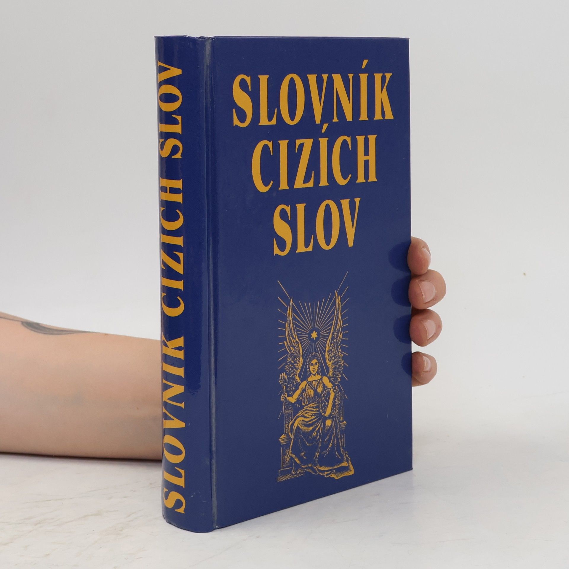 Autorenkollektiv Slovník cizích slov