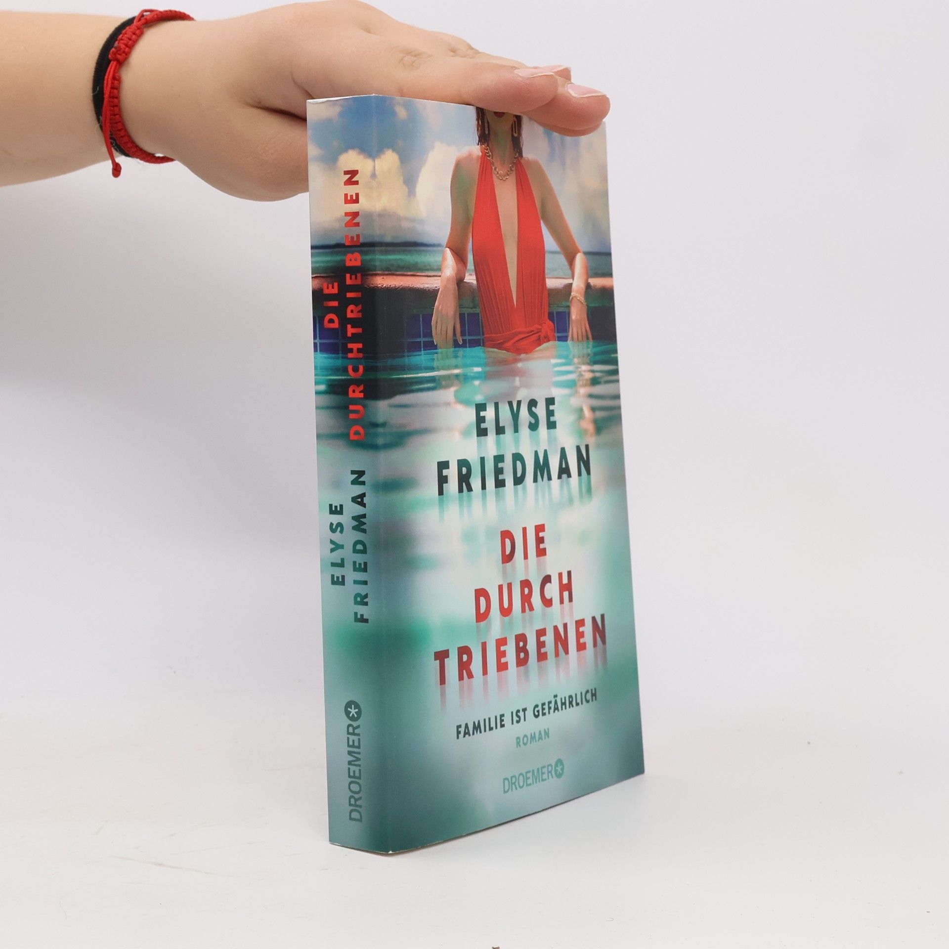 Elyse Friedman Die Durchtriebenen. Familie ist gefährlich. Roman | Bitter-böser Familien-Thriller aus Kanada