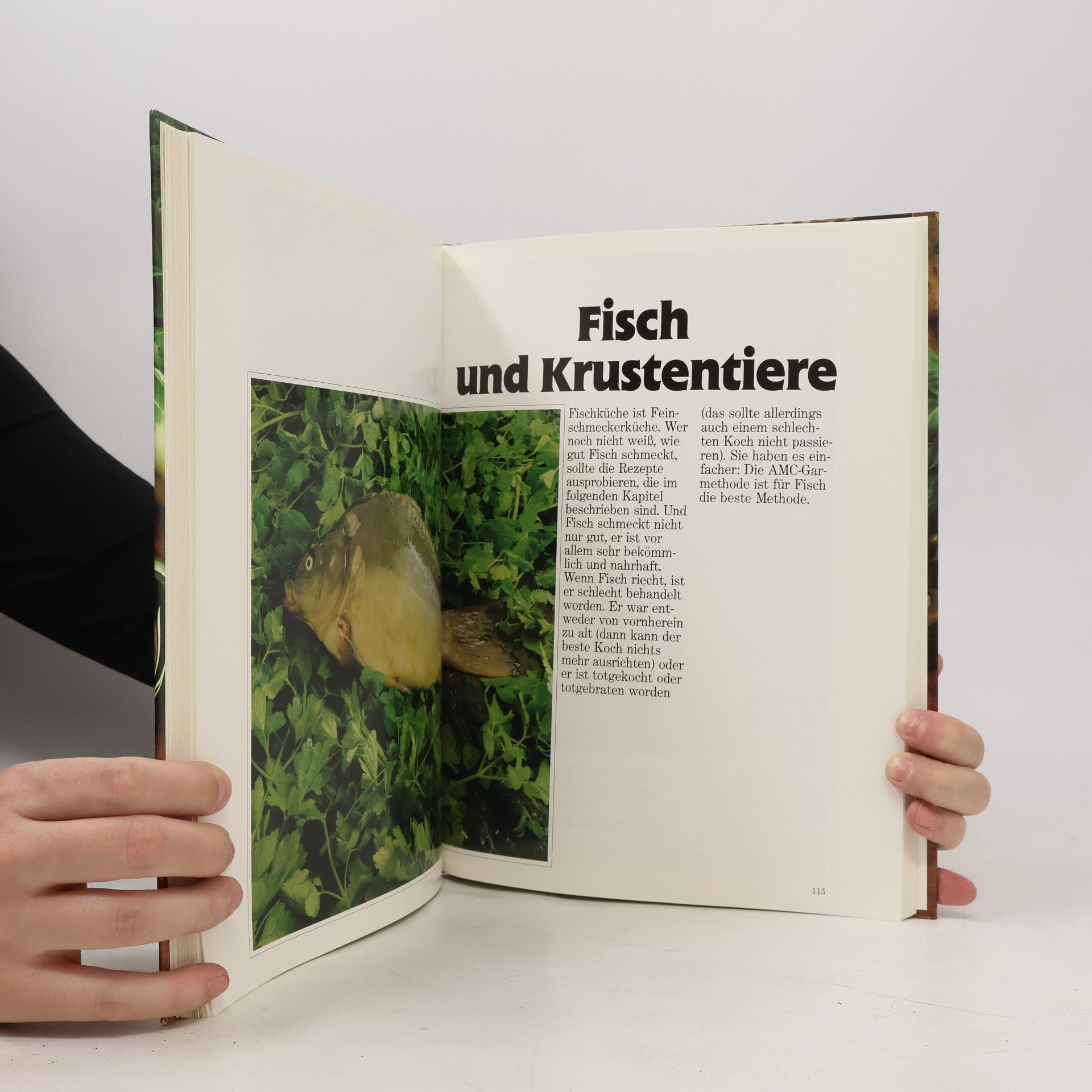 Autorenkollektiv Bon Appétit