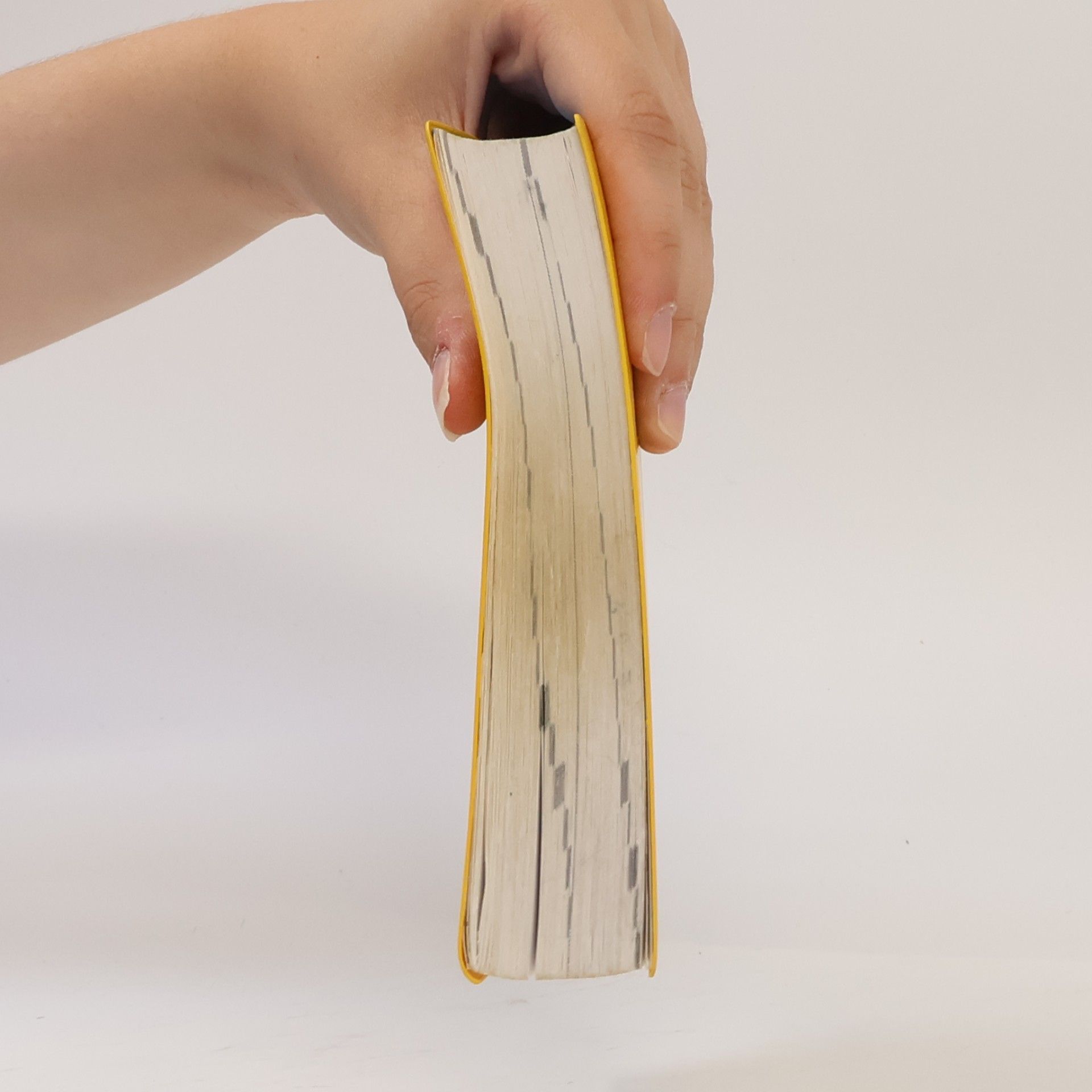 Holger Freese Langenscheidts Schulwörterbuch Englisch