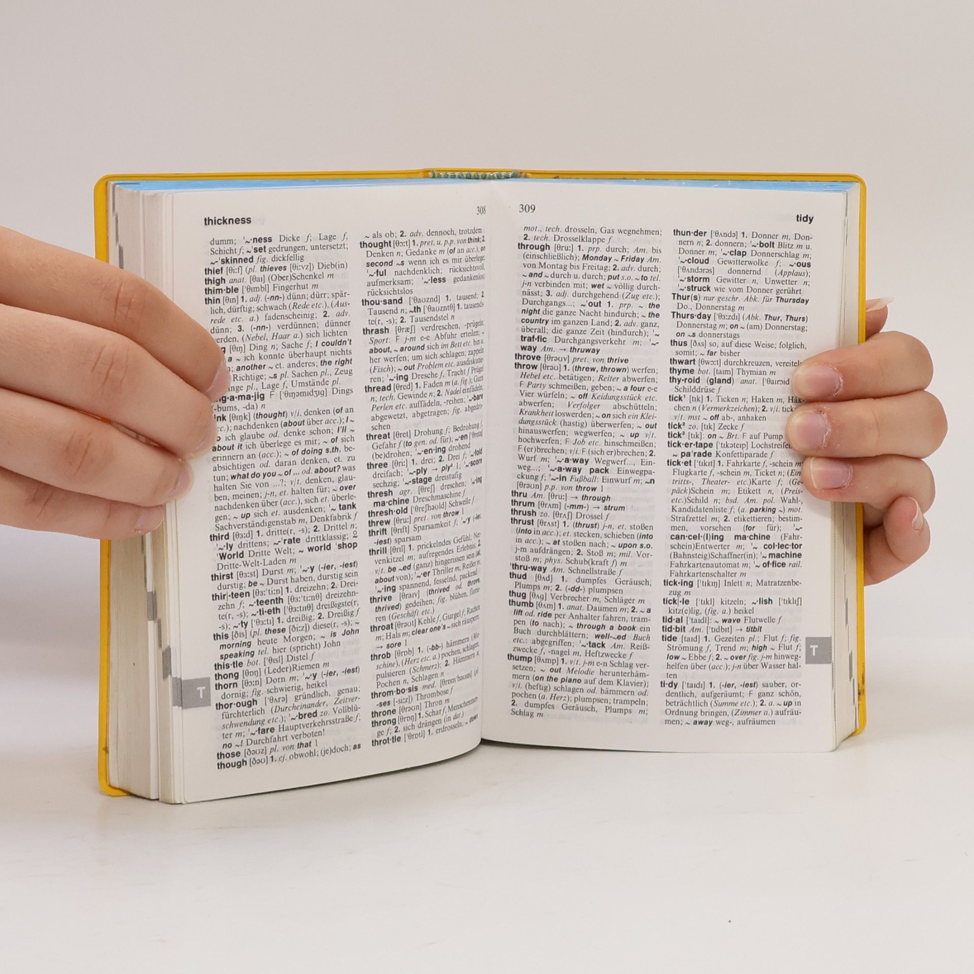 Holger Freese Langenscheidts Schulwörterbuch Englisch