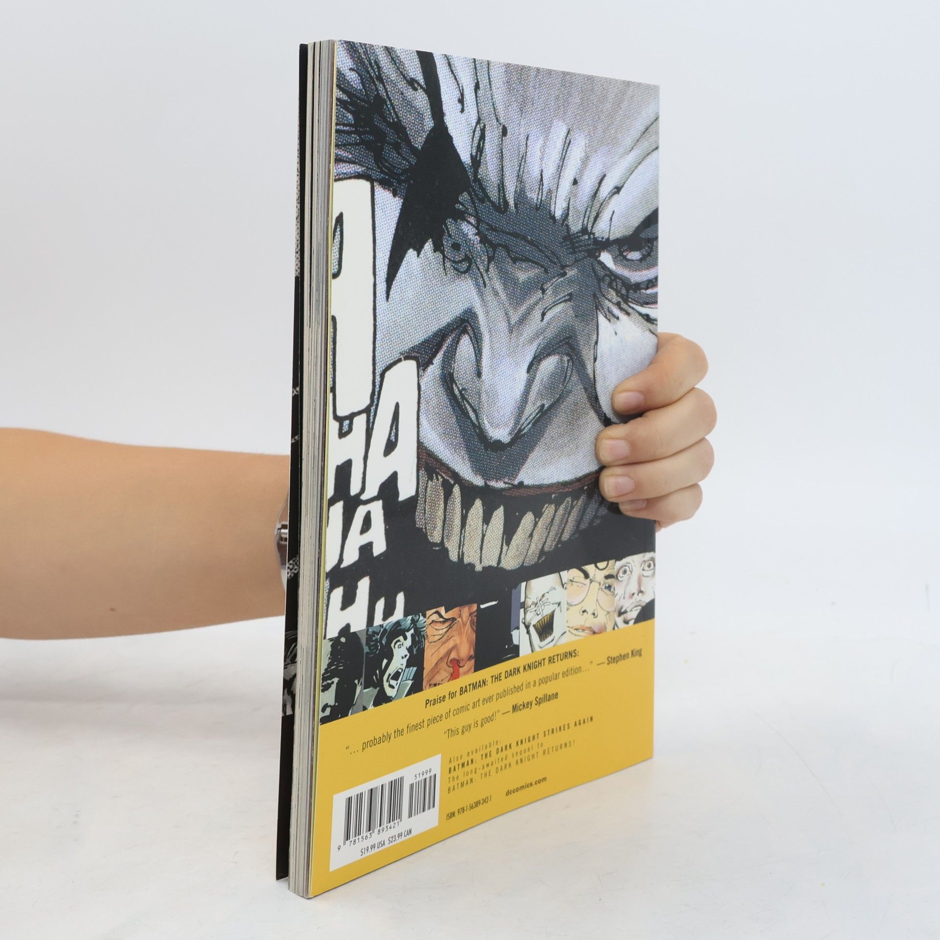 Frank Miller Batman: The Dark Knight returns