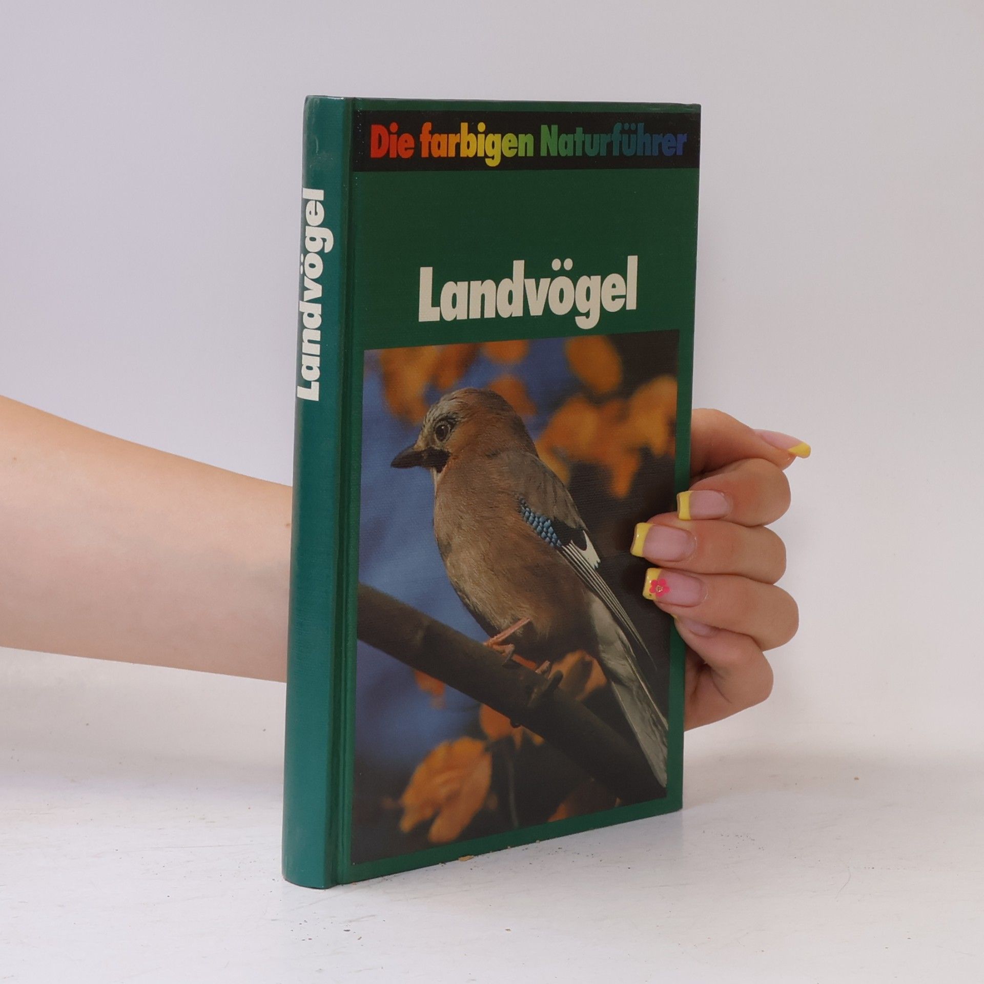 AA.VV. Landvögel