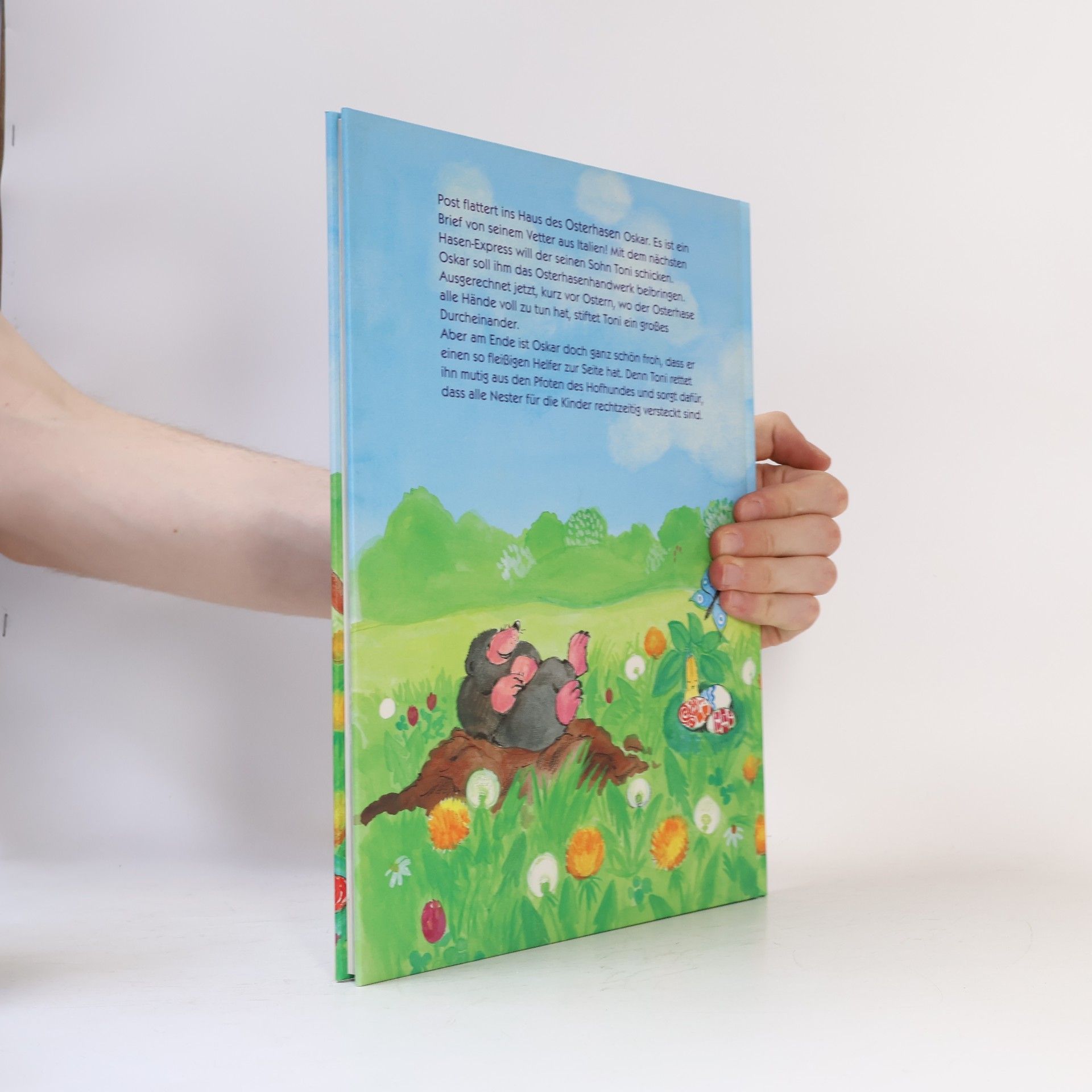 Judith Steinbacher Wer hilft Oskar Osterhase