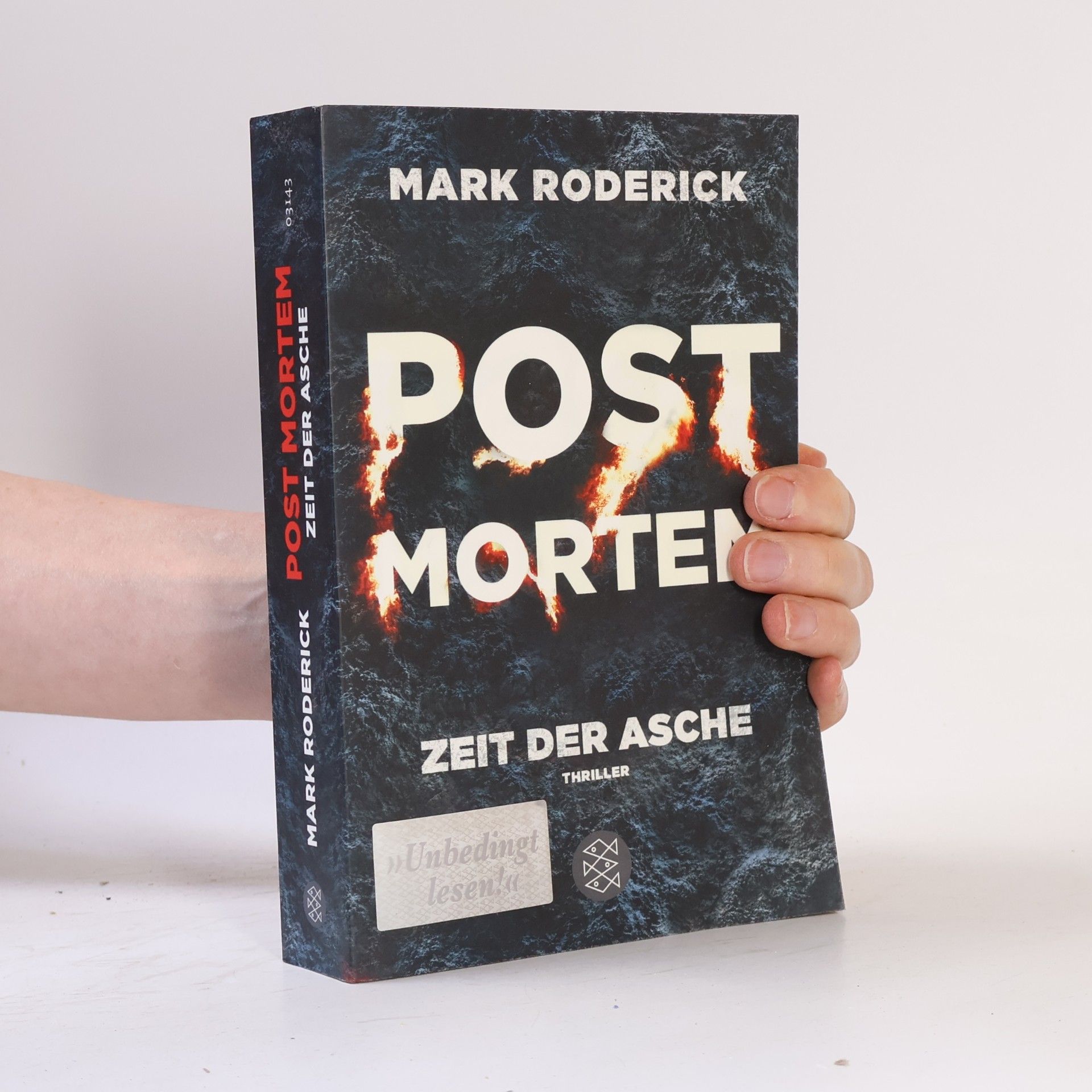 Mark Roderick Post mortem - Zeit der Asche