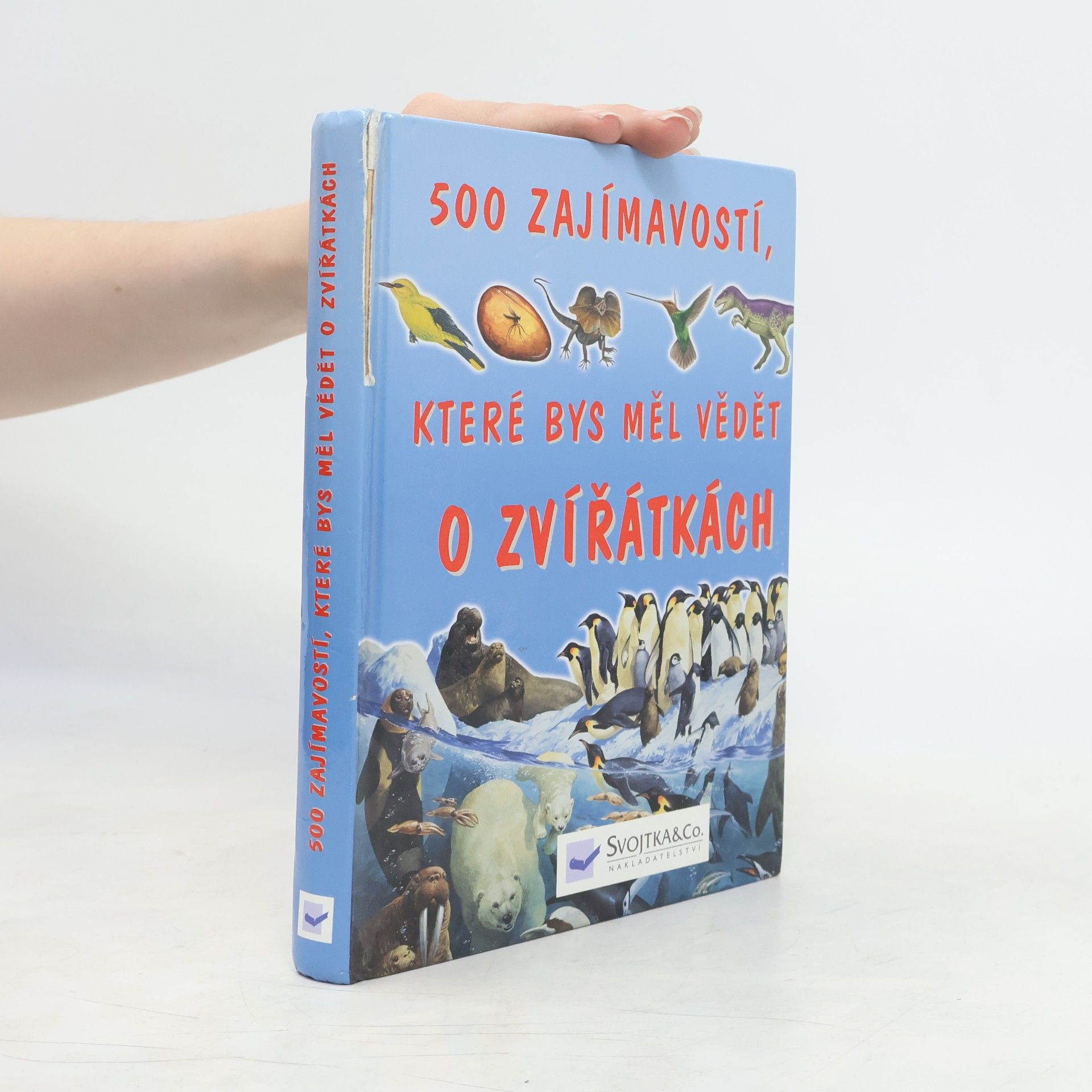 Jinny Johnson 500 zajímavostí, které bys měl vědět o zvířátkách
