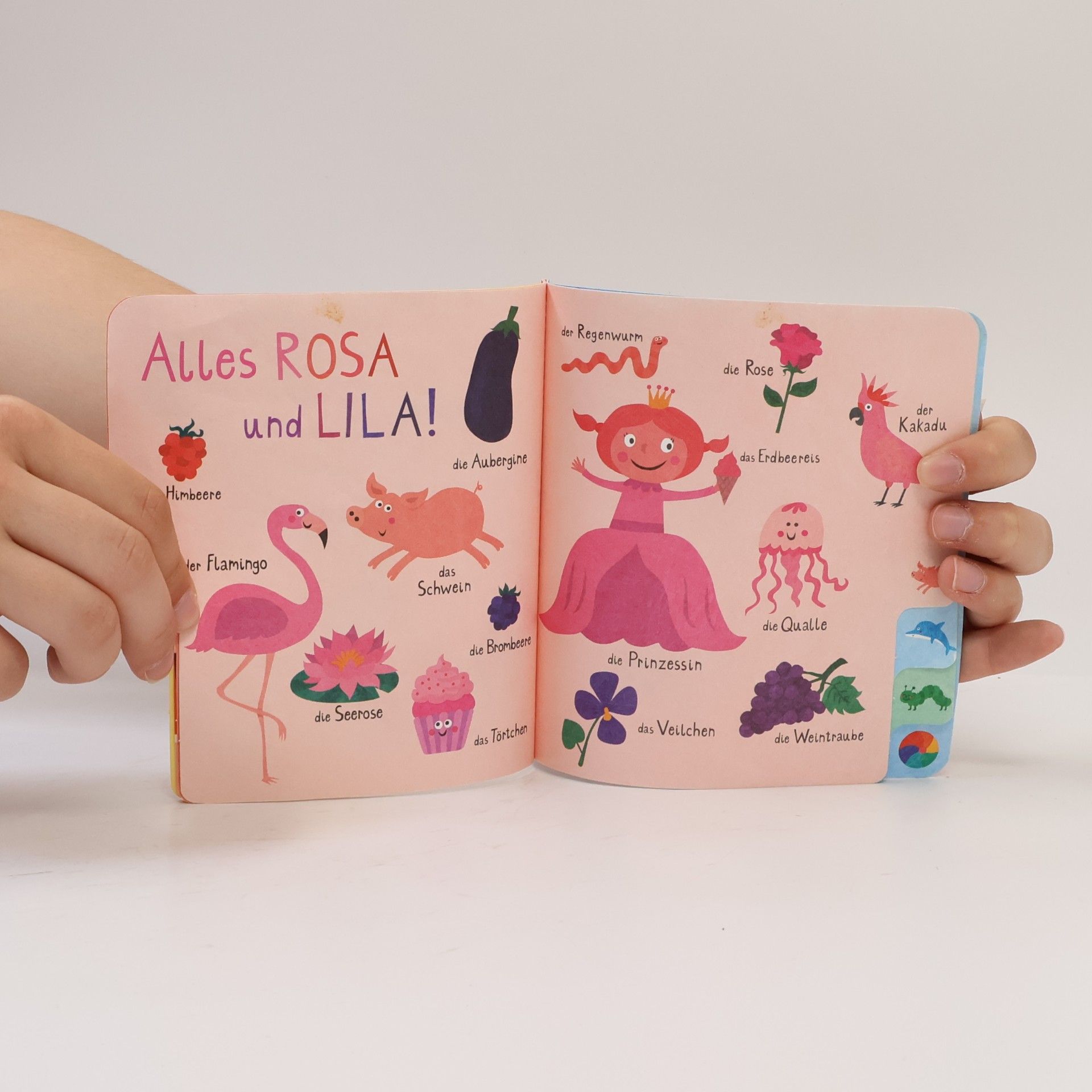 Nastja Holtfreter Baby Pixi 79: Mein erstes Farbenbuch