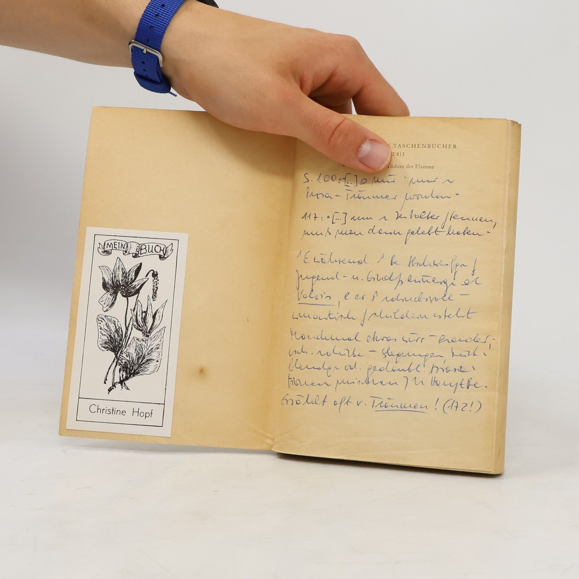 Gérard de Nerval Töchter der Flamme
