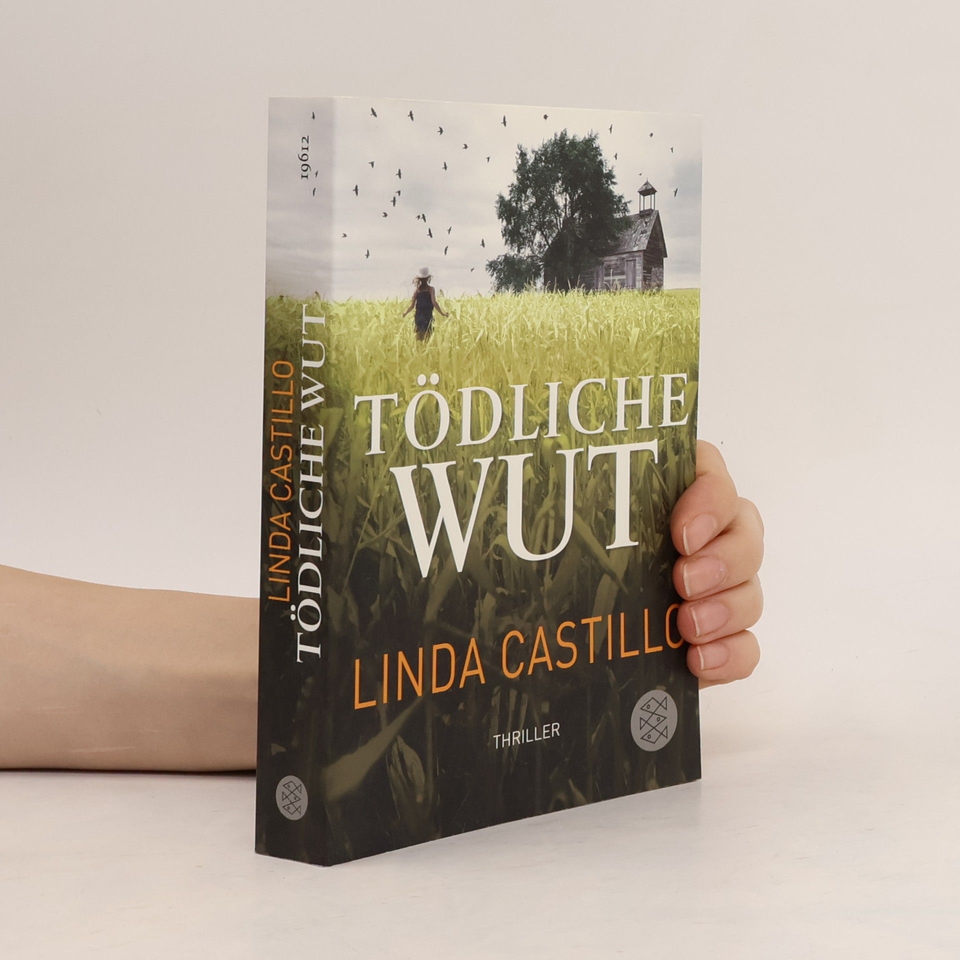 Linda Castillo Tödliche Wut