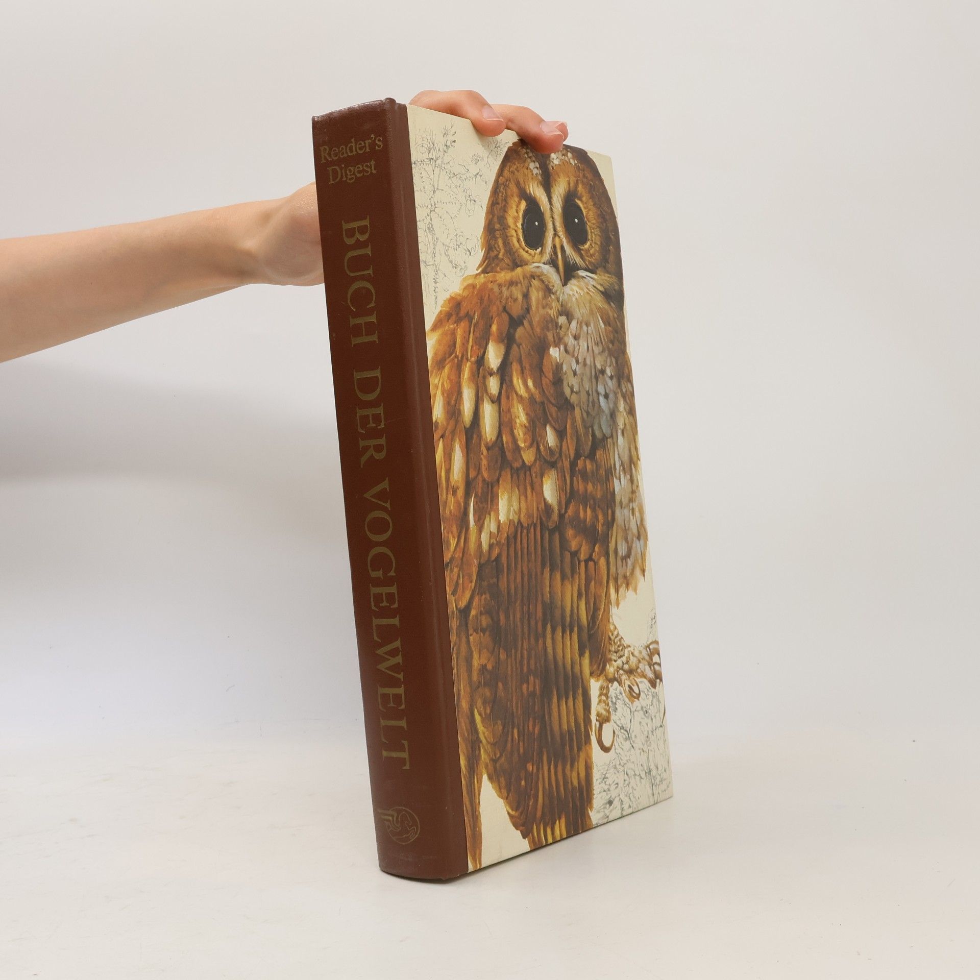 Günther Niethammer Das Reader's Digest Buch der Vogelwelt Mitteleuropas
